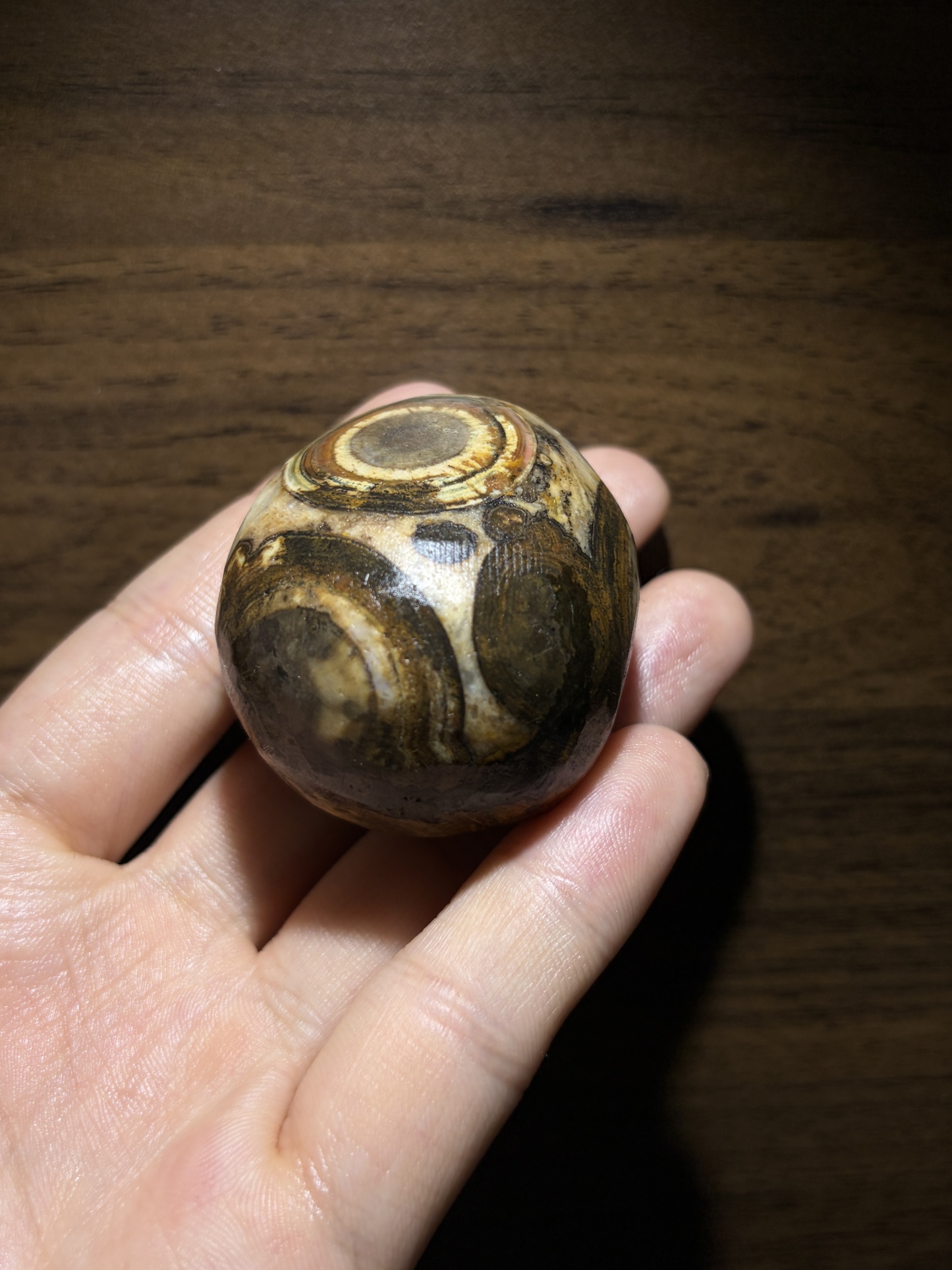 Mongolian Gobi Eye‑Stone