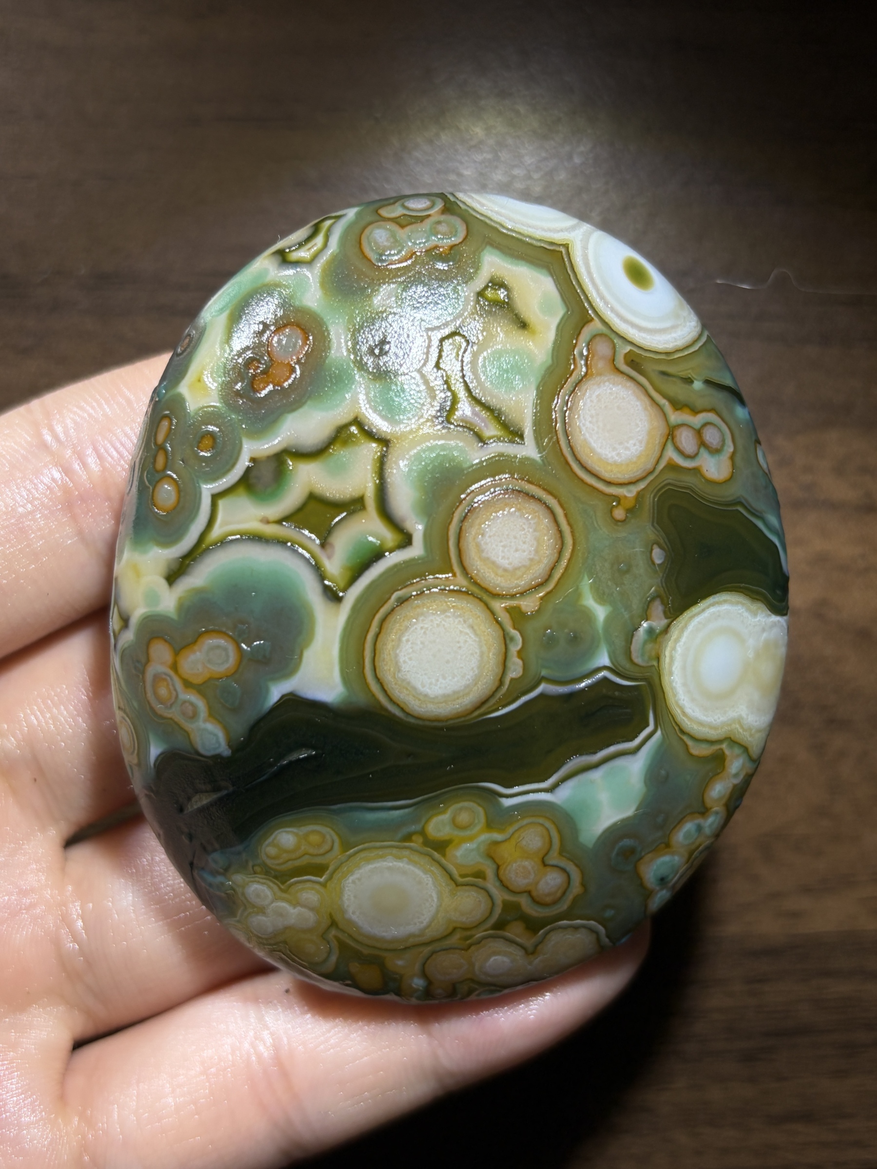 Mongolian Gobi flower‑eye agate（D5）2.76×2.36×1.10 in