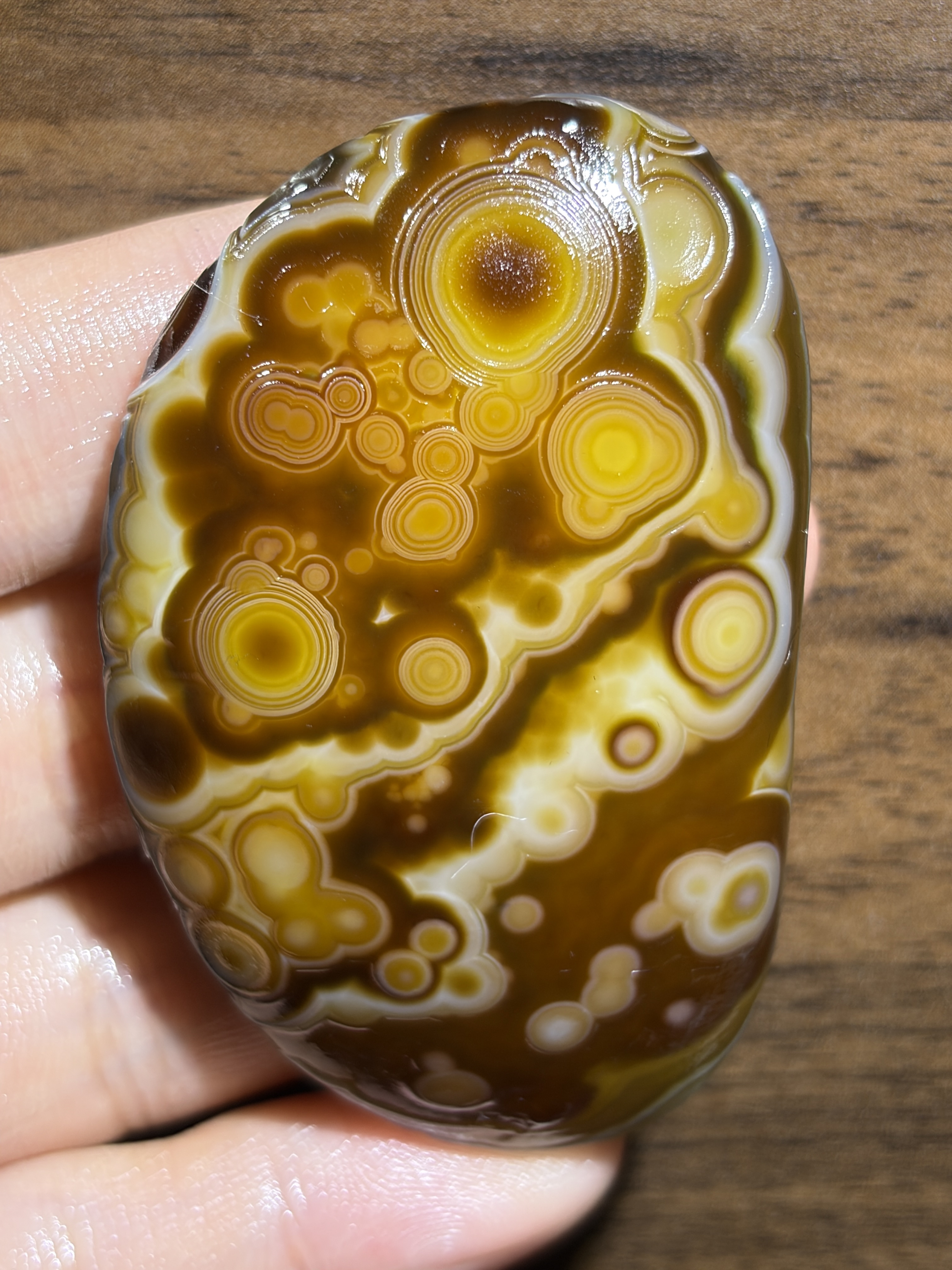Mongolian Gobi flower‑eye agate（C16）2.56×1.73×0.59 in