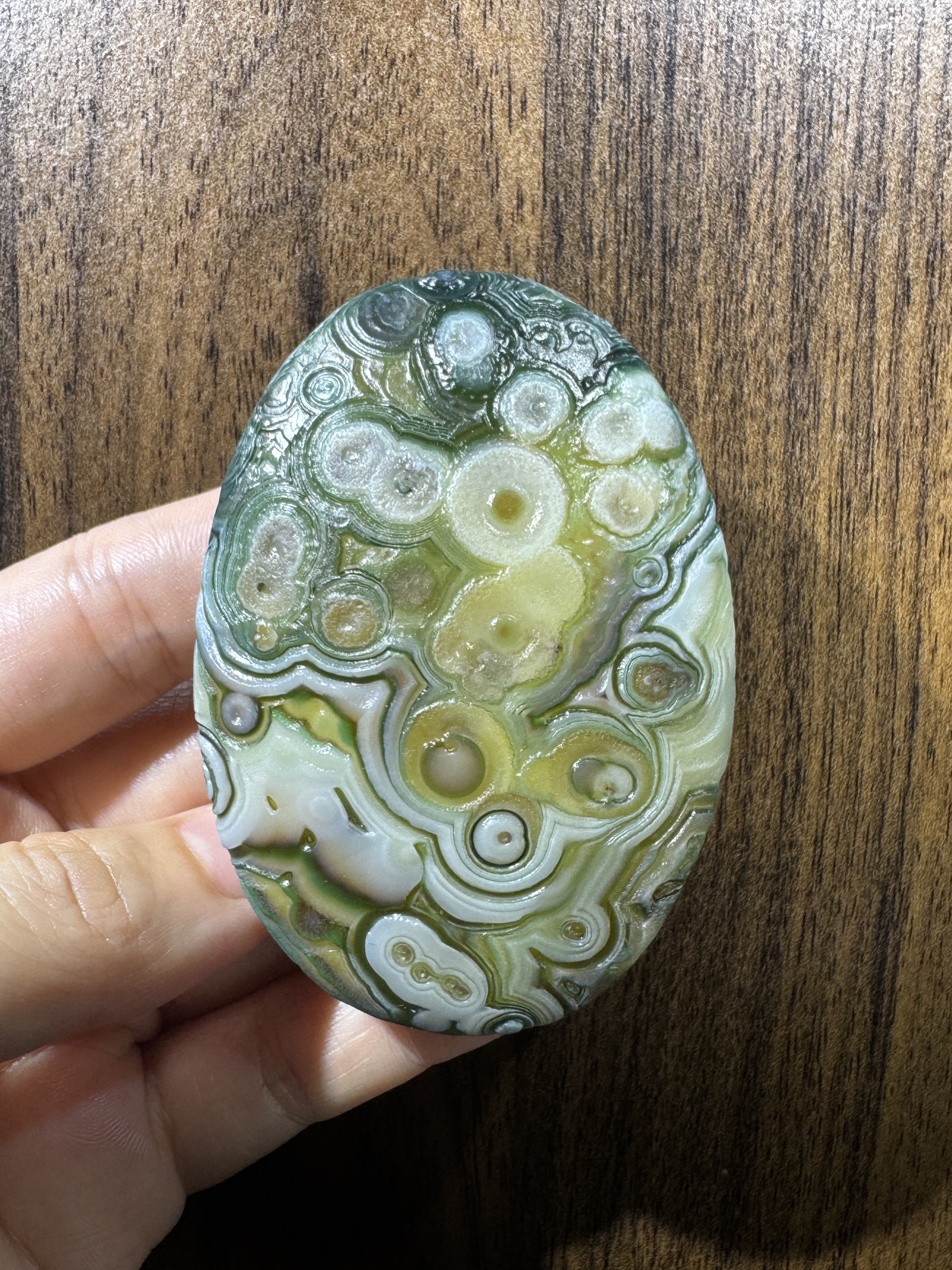 Mongolian Gobi flower‑eye agate（D24）2.91×2.05×0.75 in