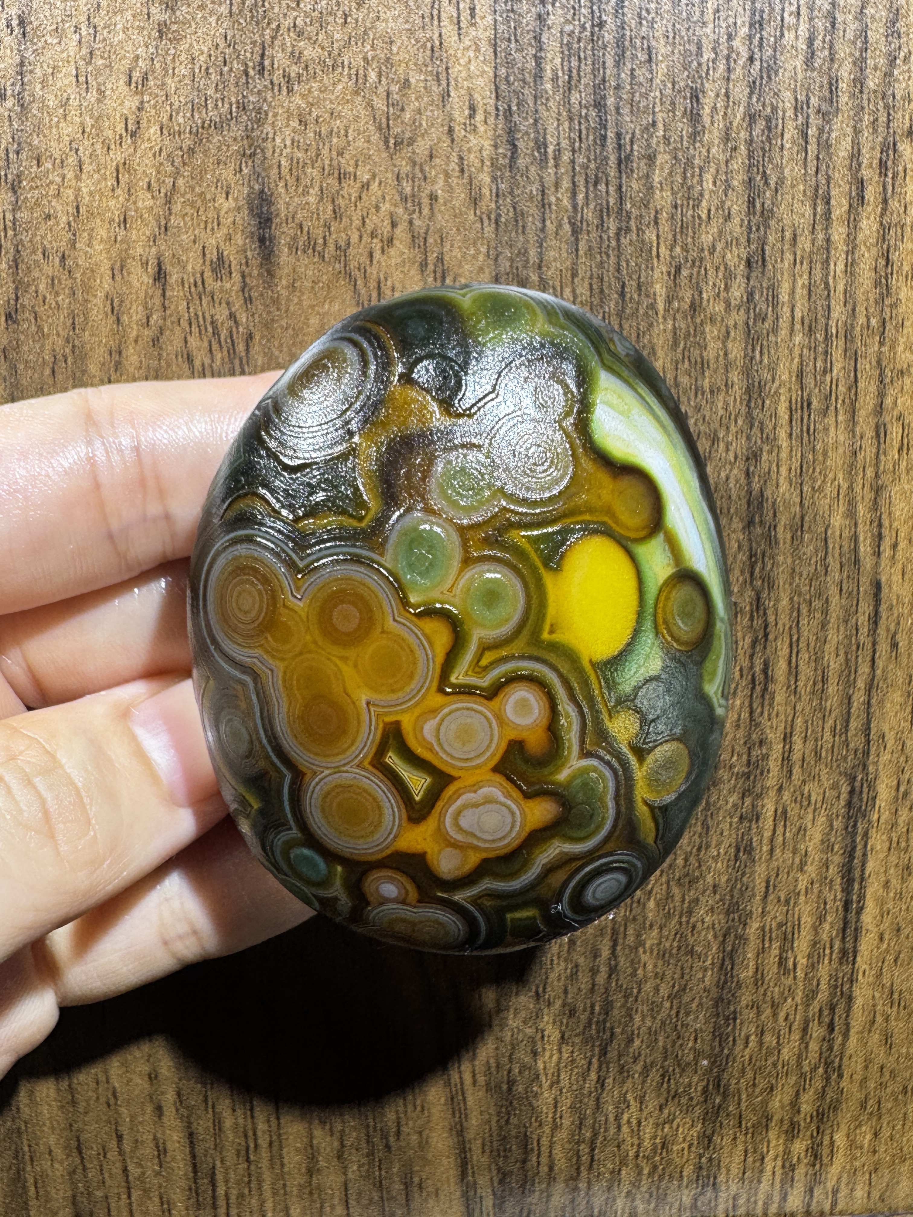 Mongolian Gobi flower‑eye agate（D22）2.56×2.17×1.18 in