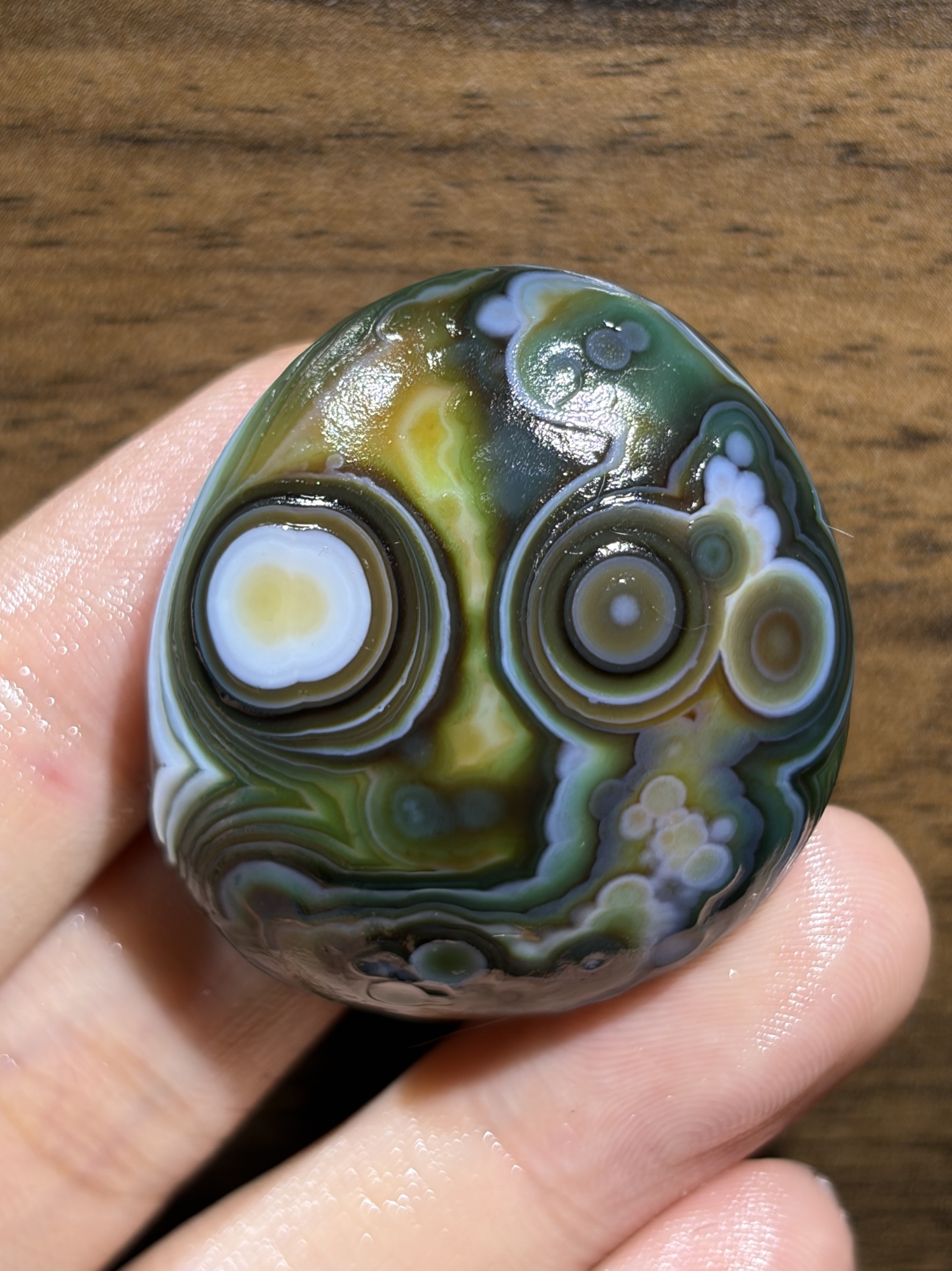 Mongolian Gobi flower‑eye agate（C21）1.65×1.46×0.71 in