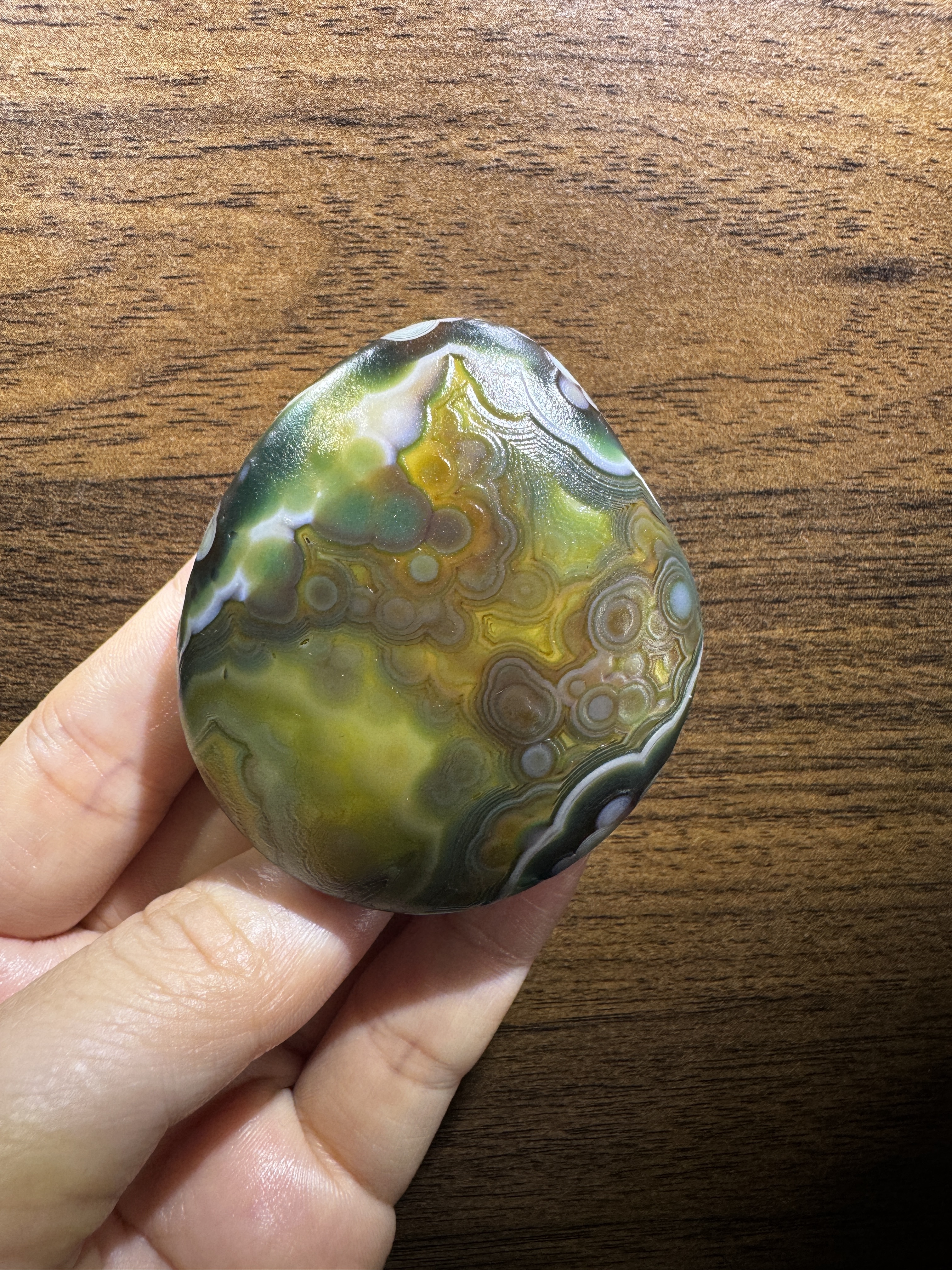 Mongolian Gobi flower‑eye agate（C47）2.28×1.97×0.98 in