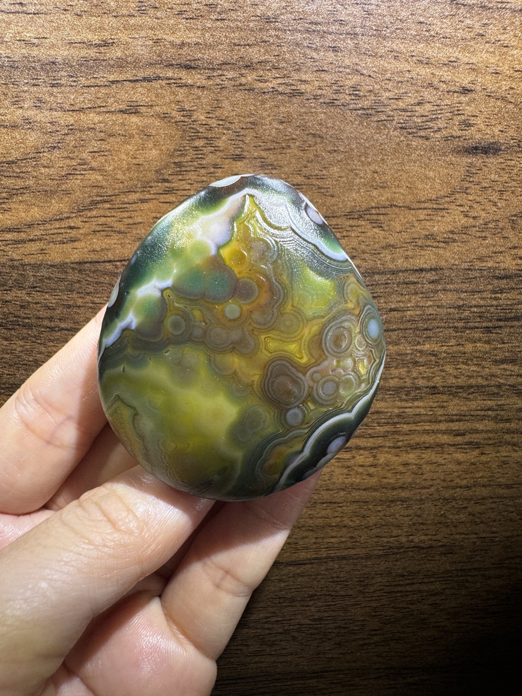 Mongolian Gobi flower‑eye agate（C47）2.28×1.97×0.98 in