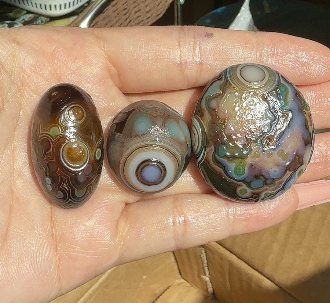Kelly (Live Order)
