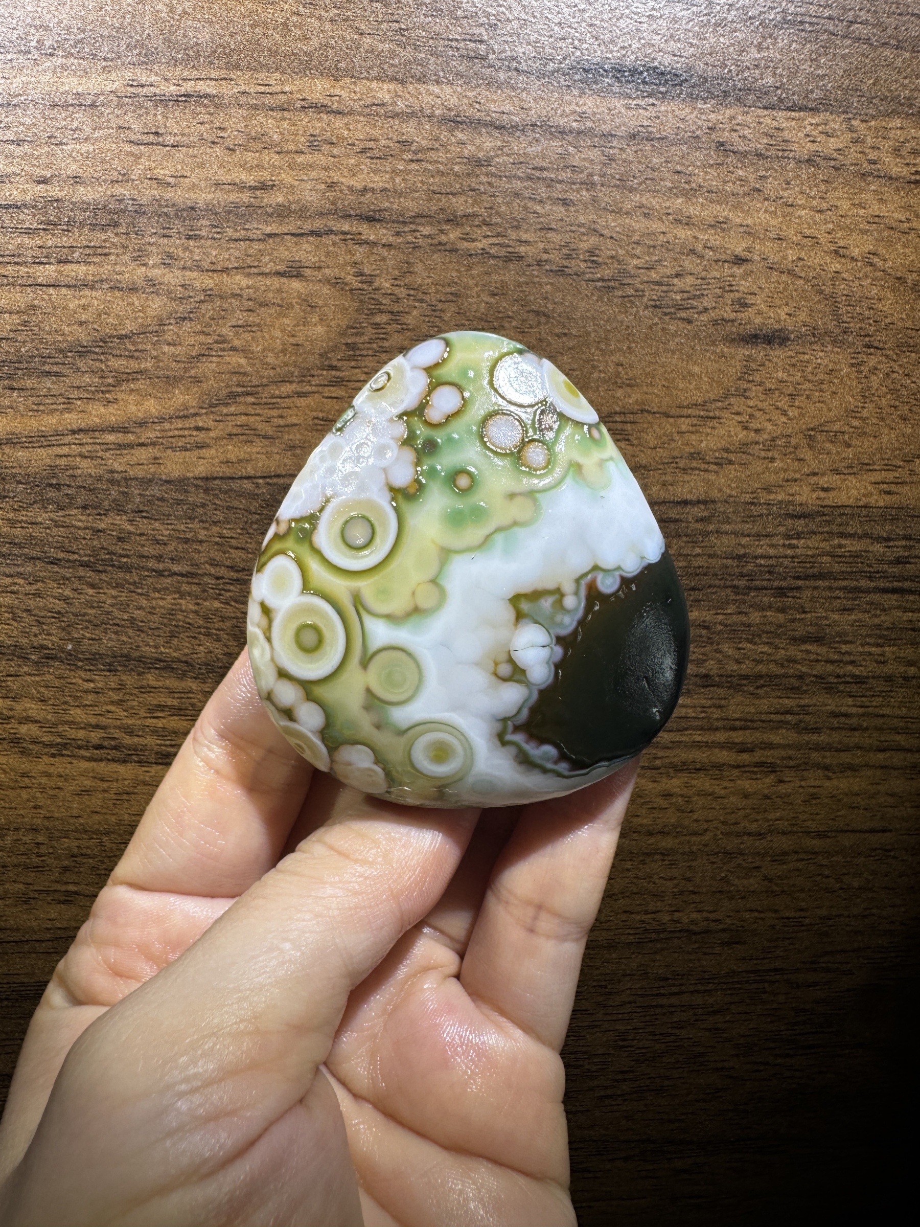 Mongolian Gobi flower‑eye agate（C56）2.36×2.17×0.79 in