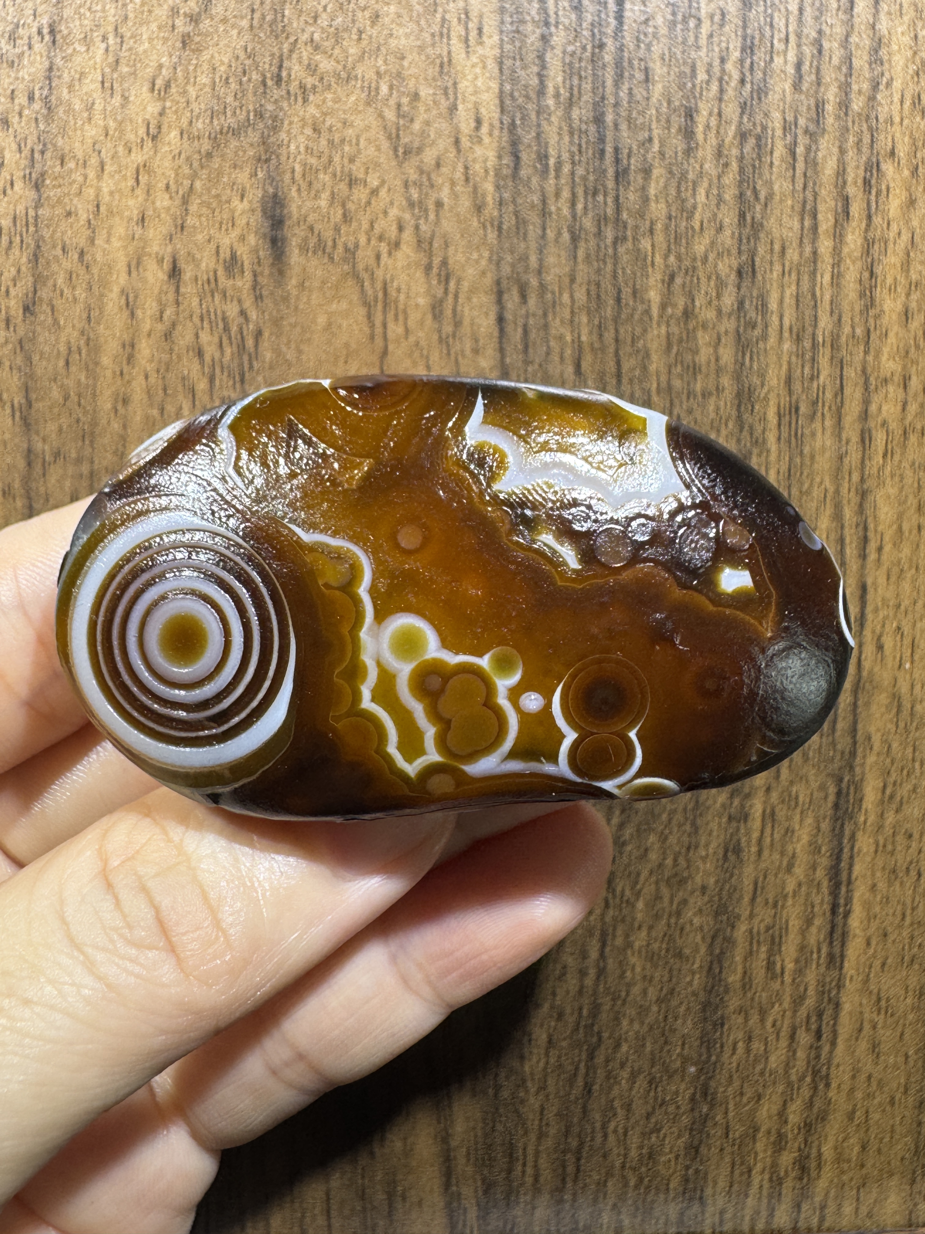 Mongolian Gobi flower‑eye agate（C55）2.56×1.38×0.79 in
