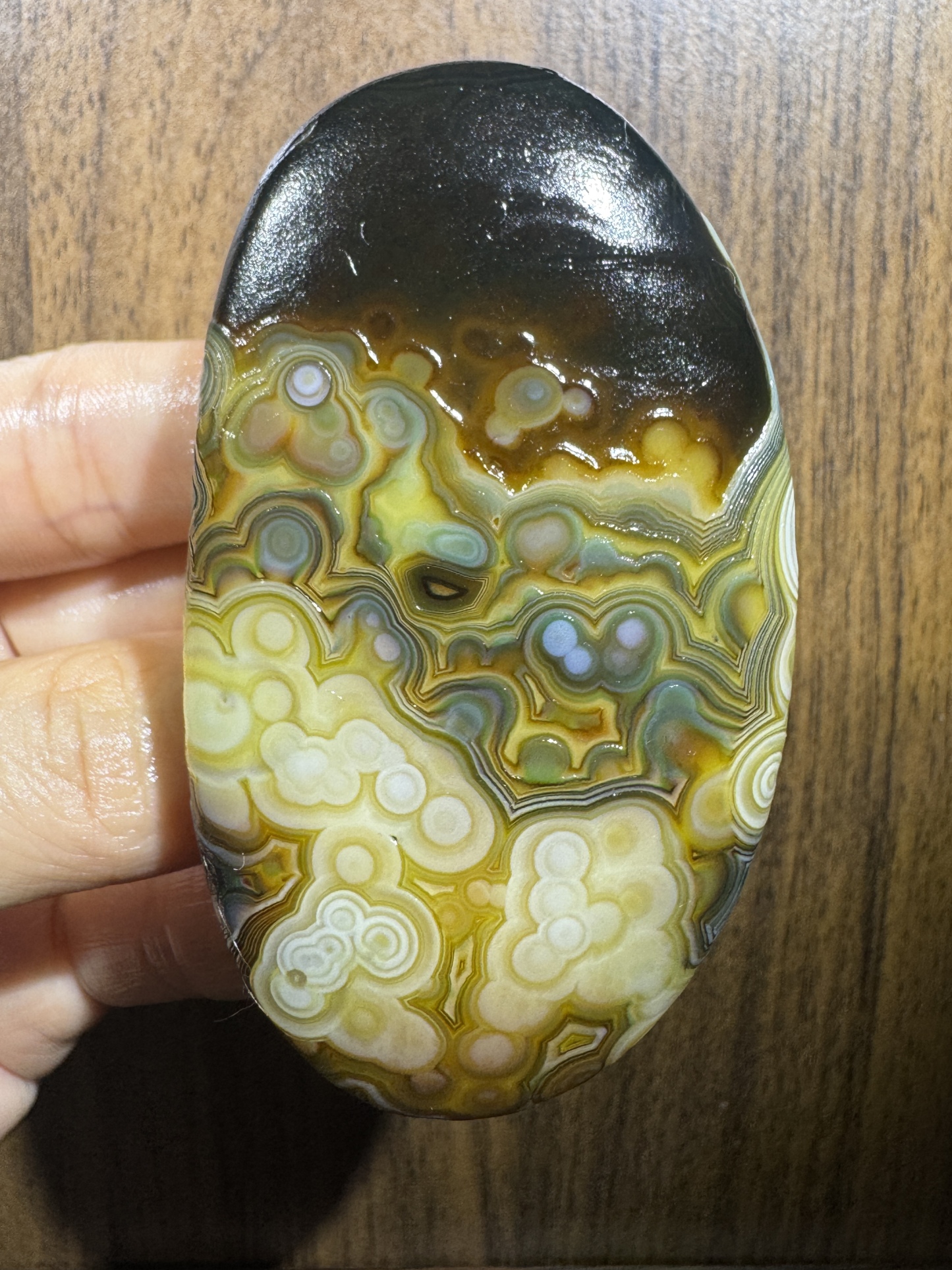 Mongolian Gobi Flower-Eye Agate (C35) 2.95×1.69×0.71 in