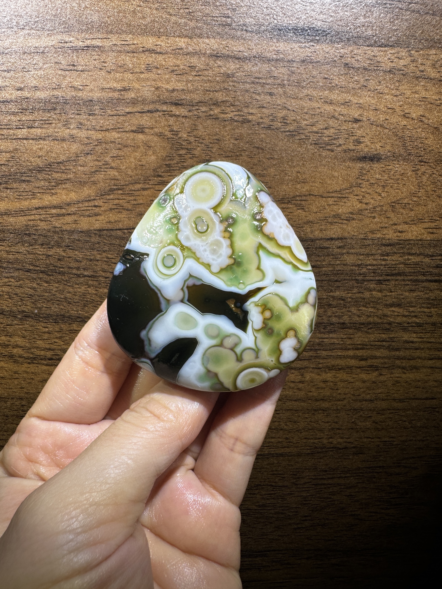 Mongolian Gobi flower‑eye agate（C56）2.36×2.17×0.79 in