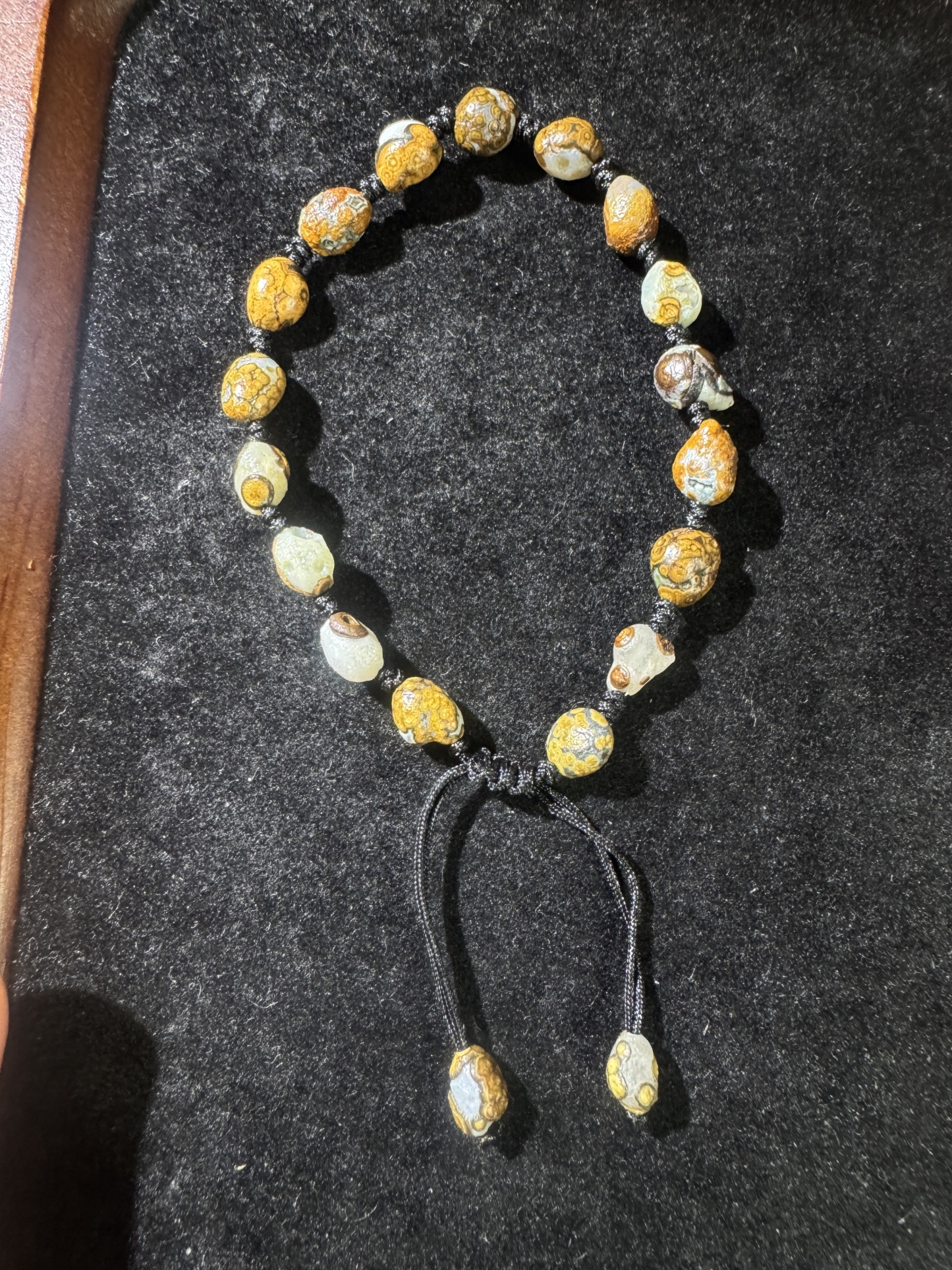 Dainty（Live Order）