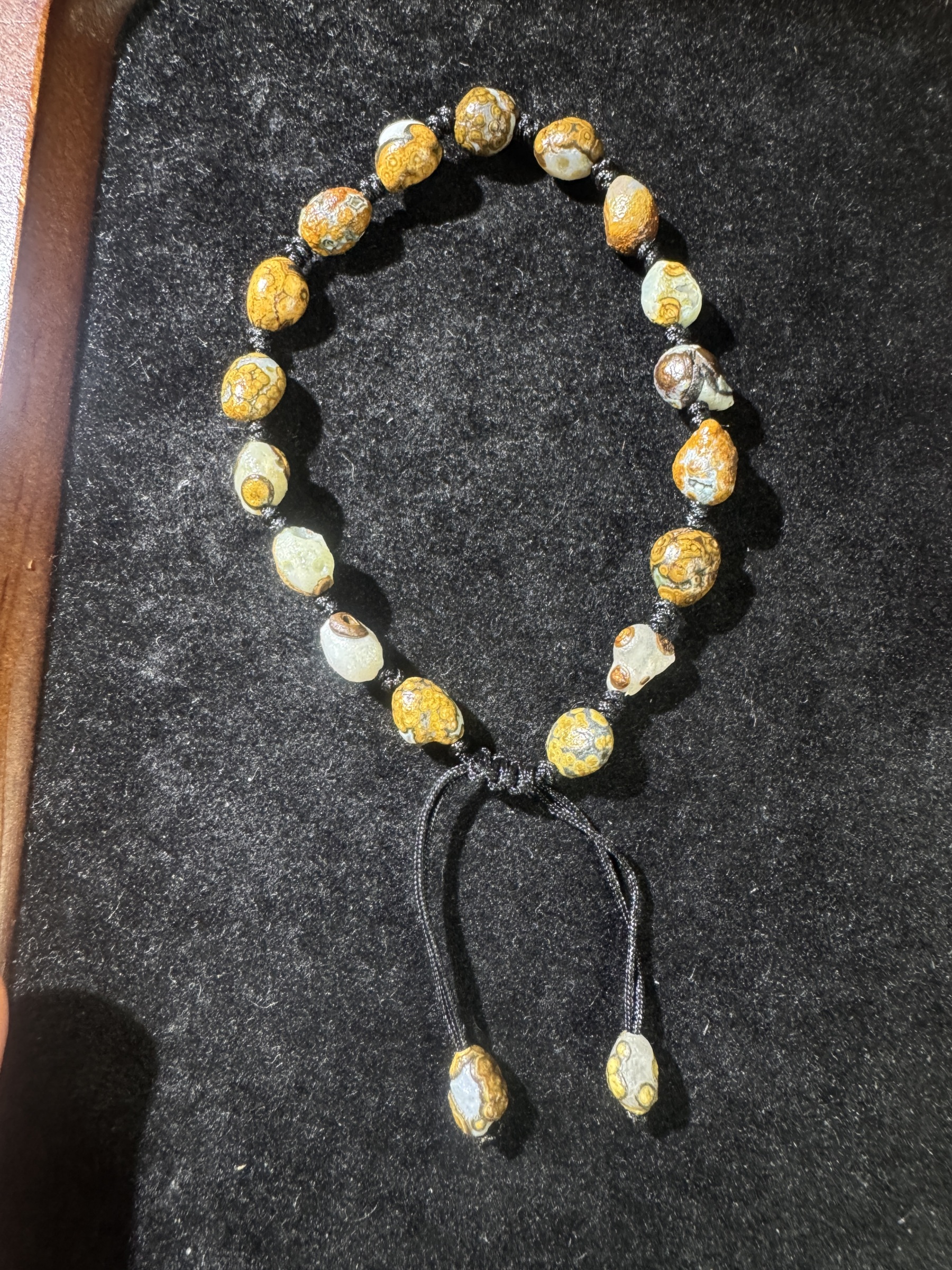 Dainty（Live Order）