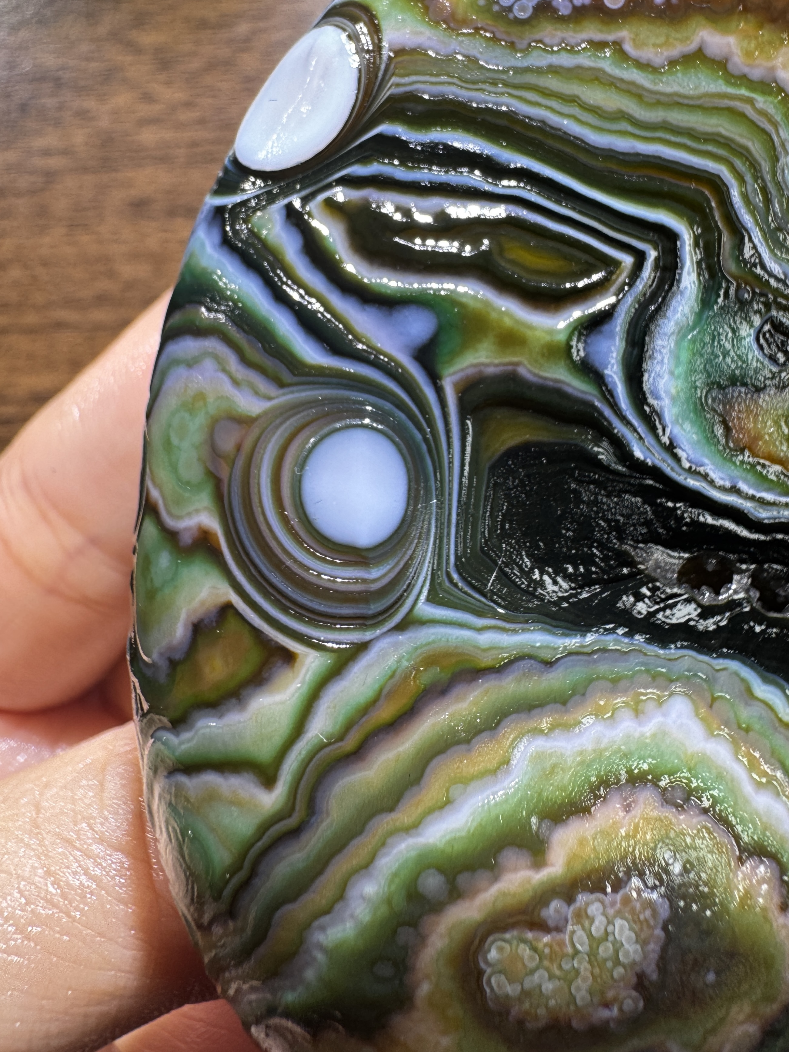 Mongolian Gobi flower‑eye agate（D11）3.31×2.05×0.79 in