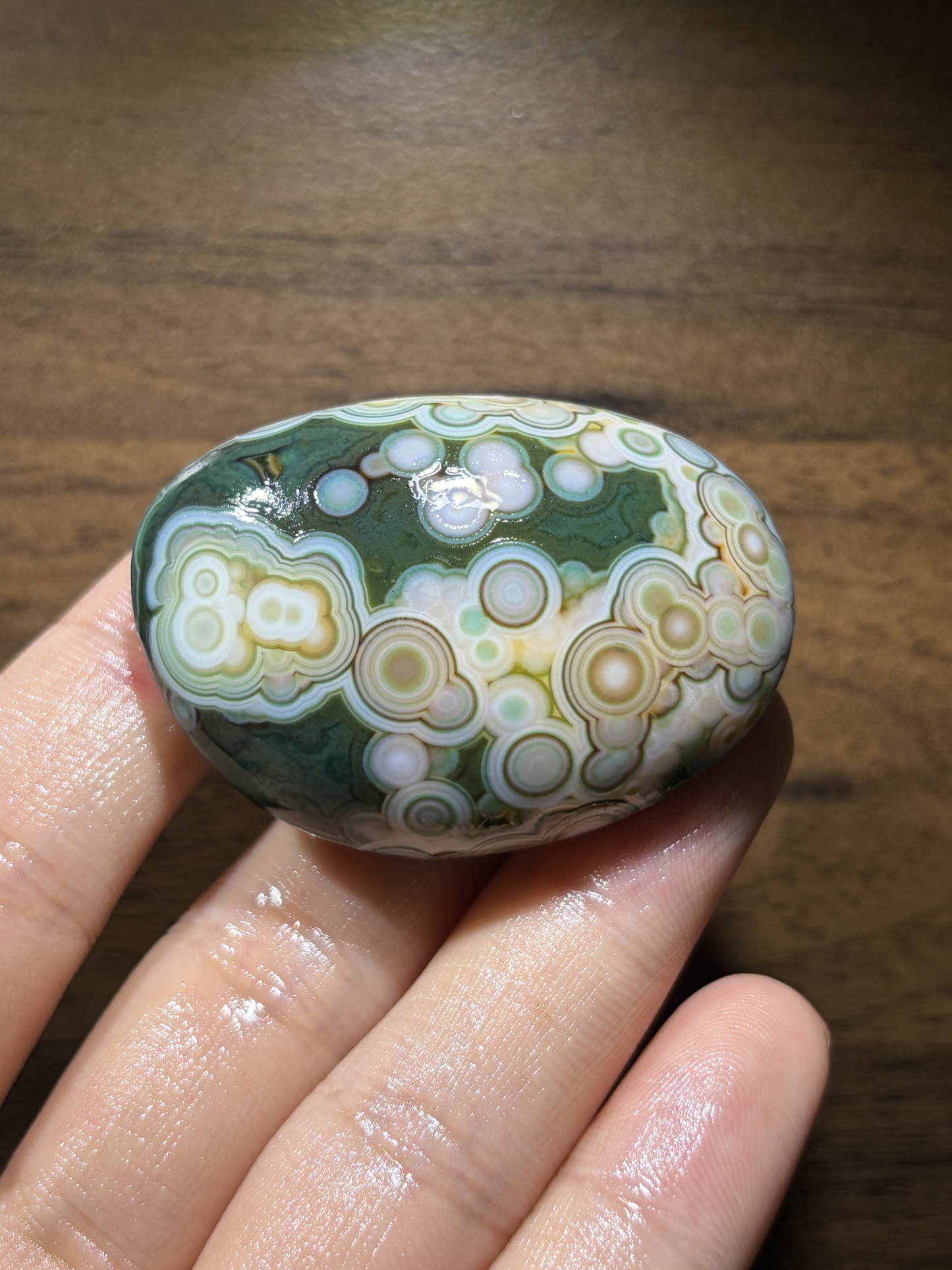 Mongolian Gobi flower‑eye agate（C2）                    Raw Agate 
Size | 1.97×1.42×0.91 in