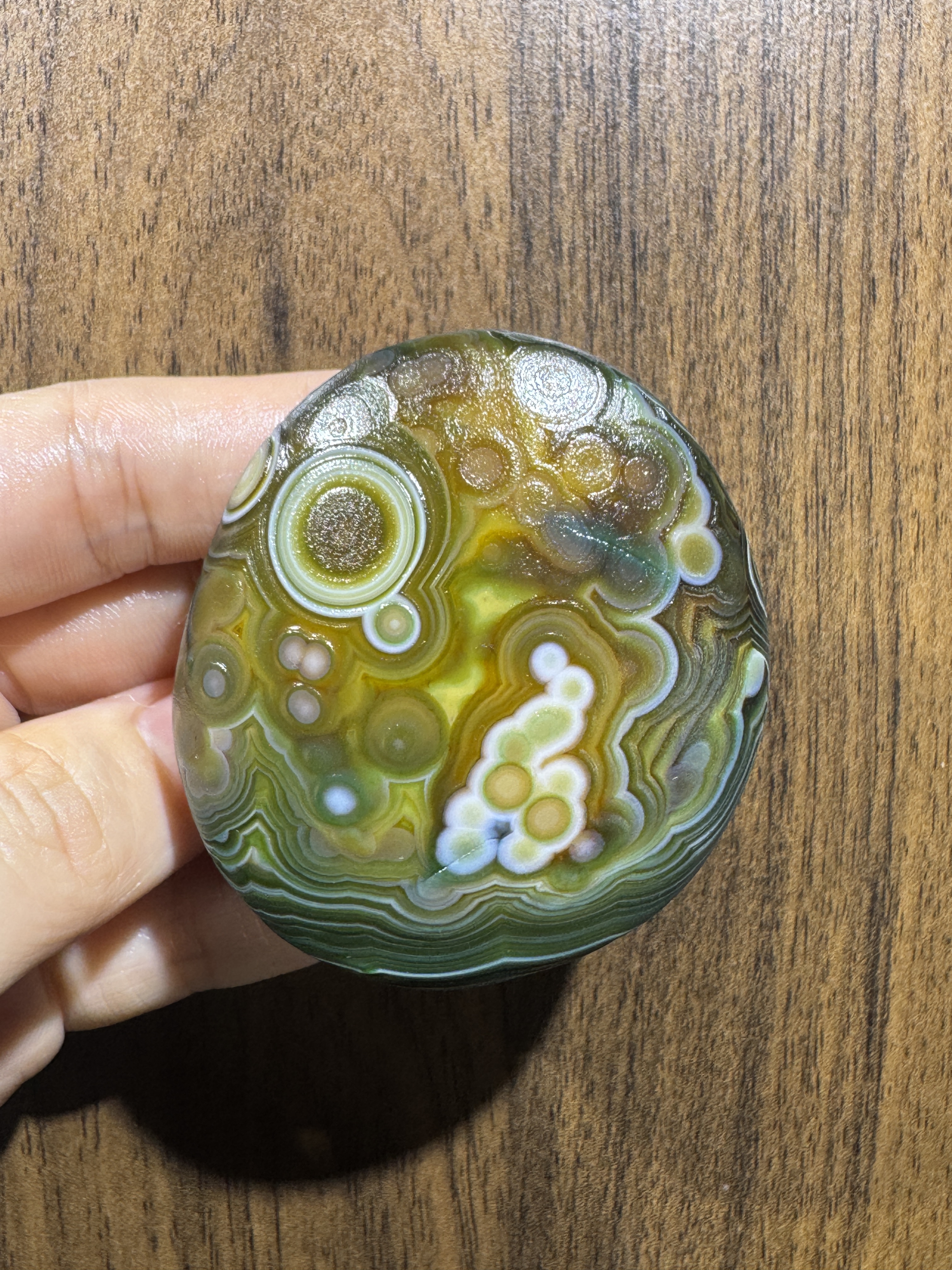 Mongolian Gobi flower‑eye agate（C50）2.36×2.13×0.87 in