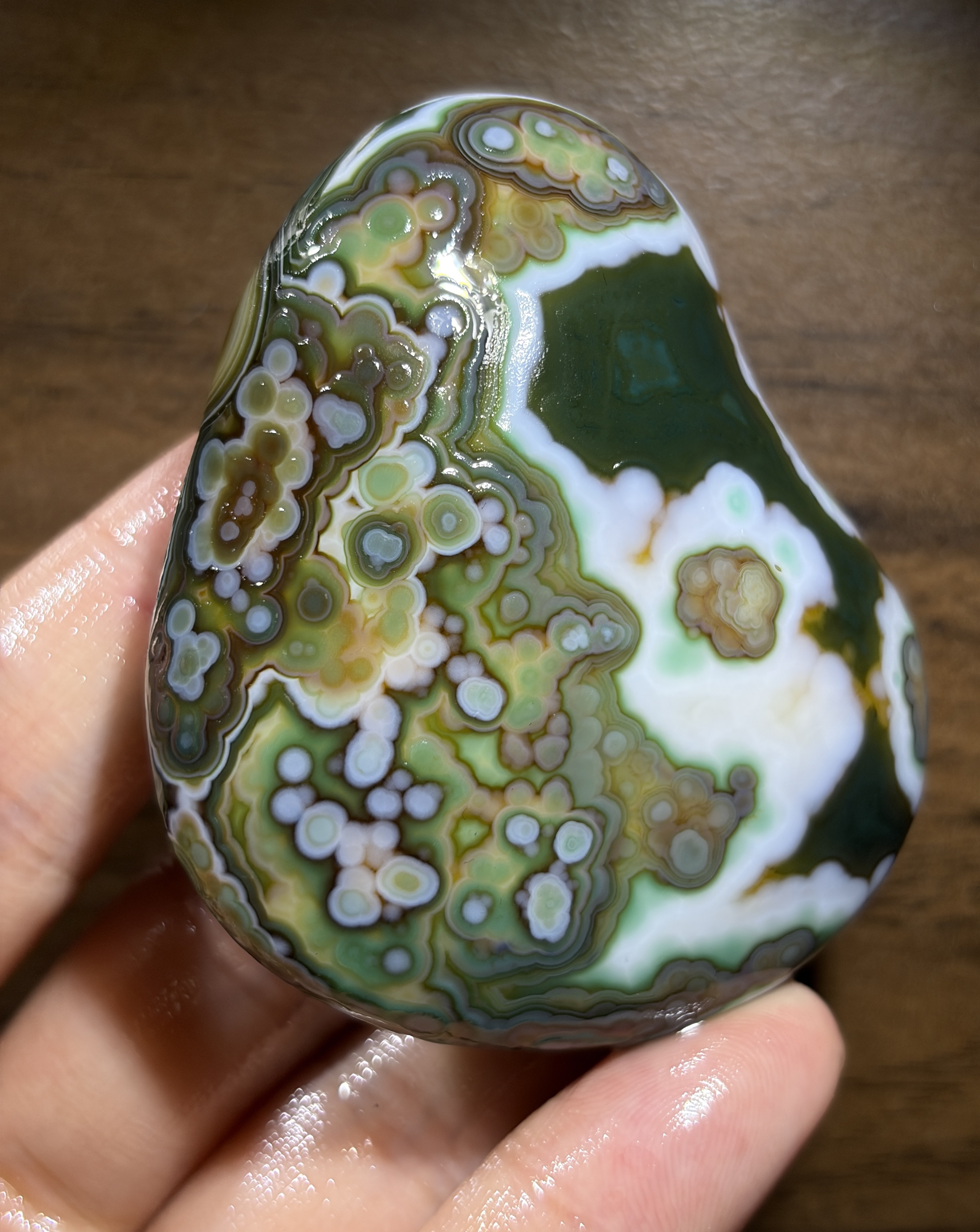 Mongolian Gobi flower‑eye agate（C8）2.56×2.28×0.98 in