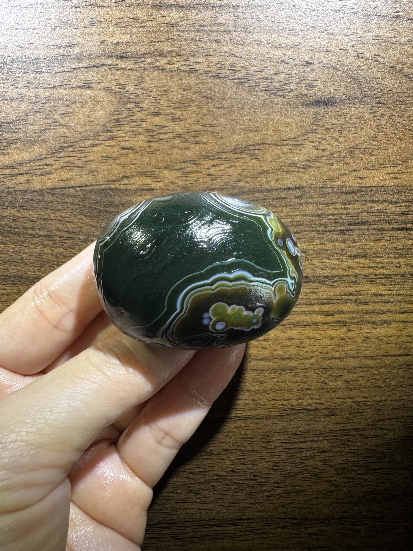Mongolian Gobi flower‑eye agate（C51）2.13×1.57×1.26 in