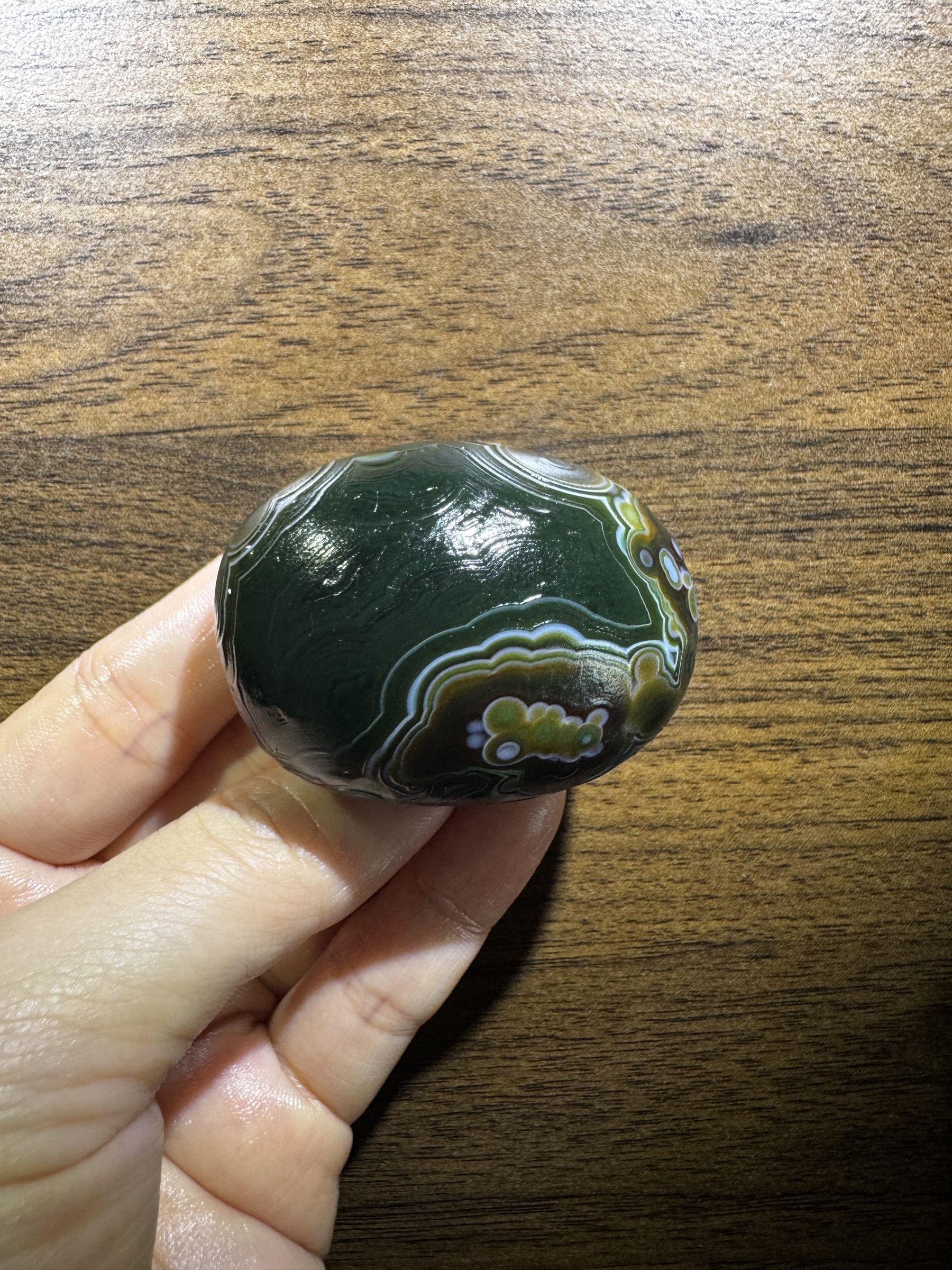 Mongolian Gobi flower‑eye agate（C51）2.13×1.57×1.26 in