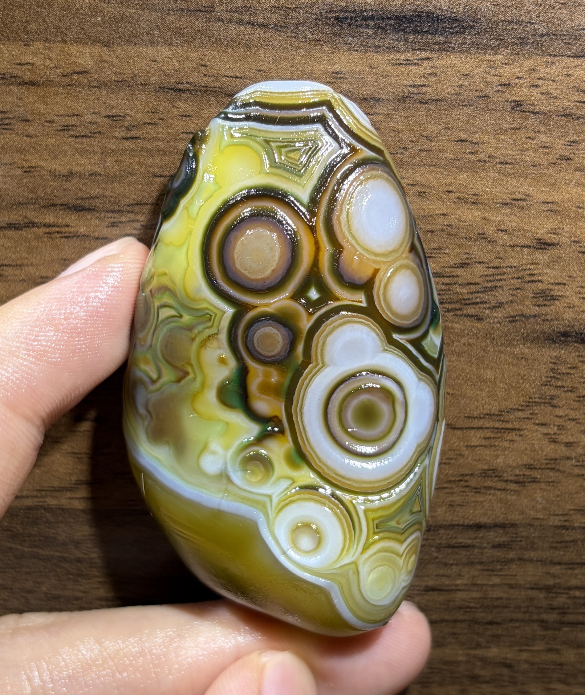 Mongolian Gobi flower‑eye agate（C12）2.68×1.50×1.10 in