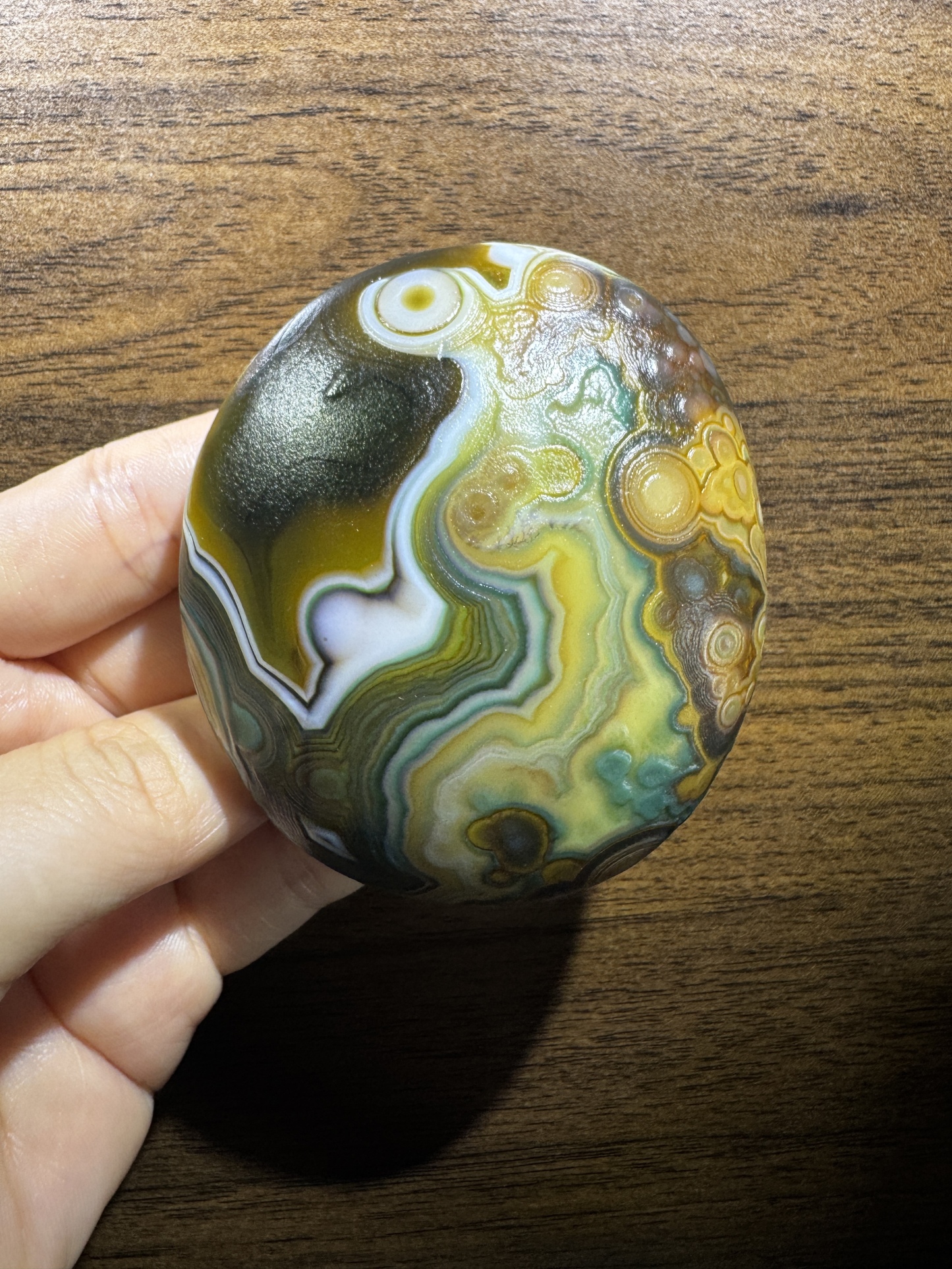 Mongolian Gobi flower‑eye agate（D22）2.87×2.56×1.14 in