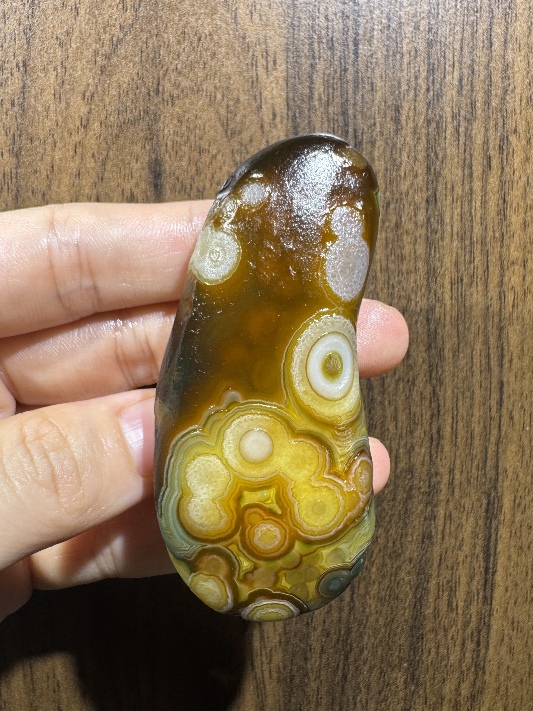 Mongolian Gobi flower‑eye agate（C48）2.95×1.34×0.71 in