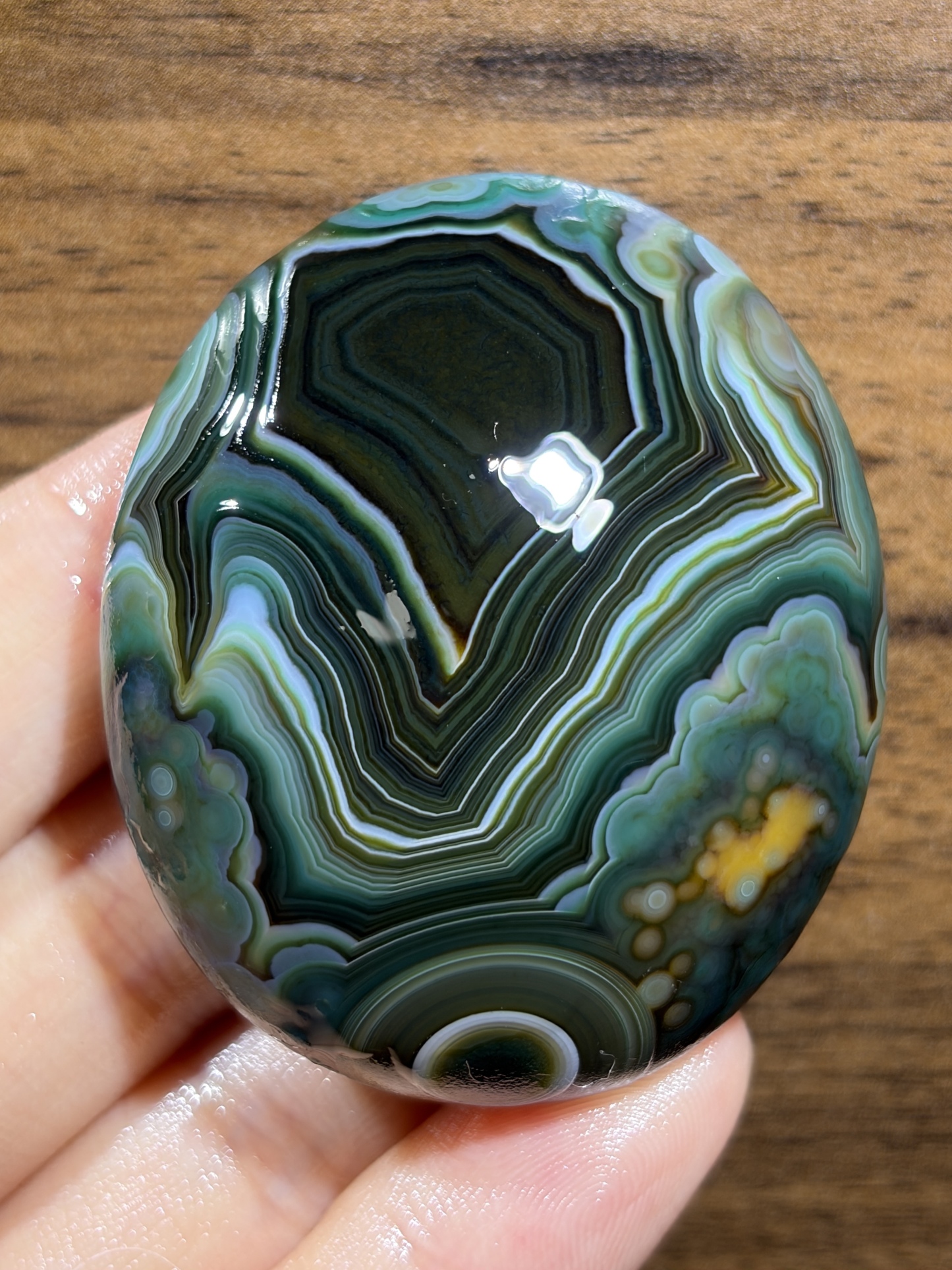 Mongolian Gobi flower‑eye agate（C14）2.20×1.89×0.79 in