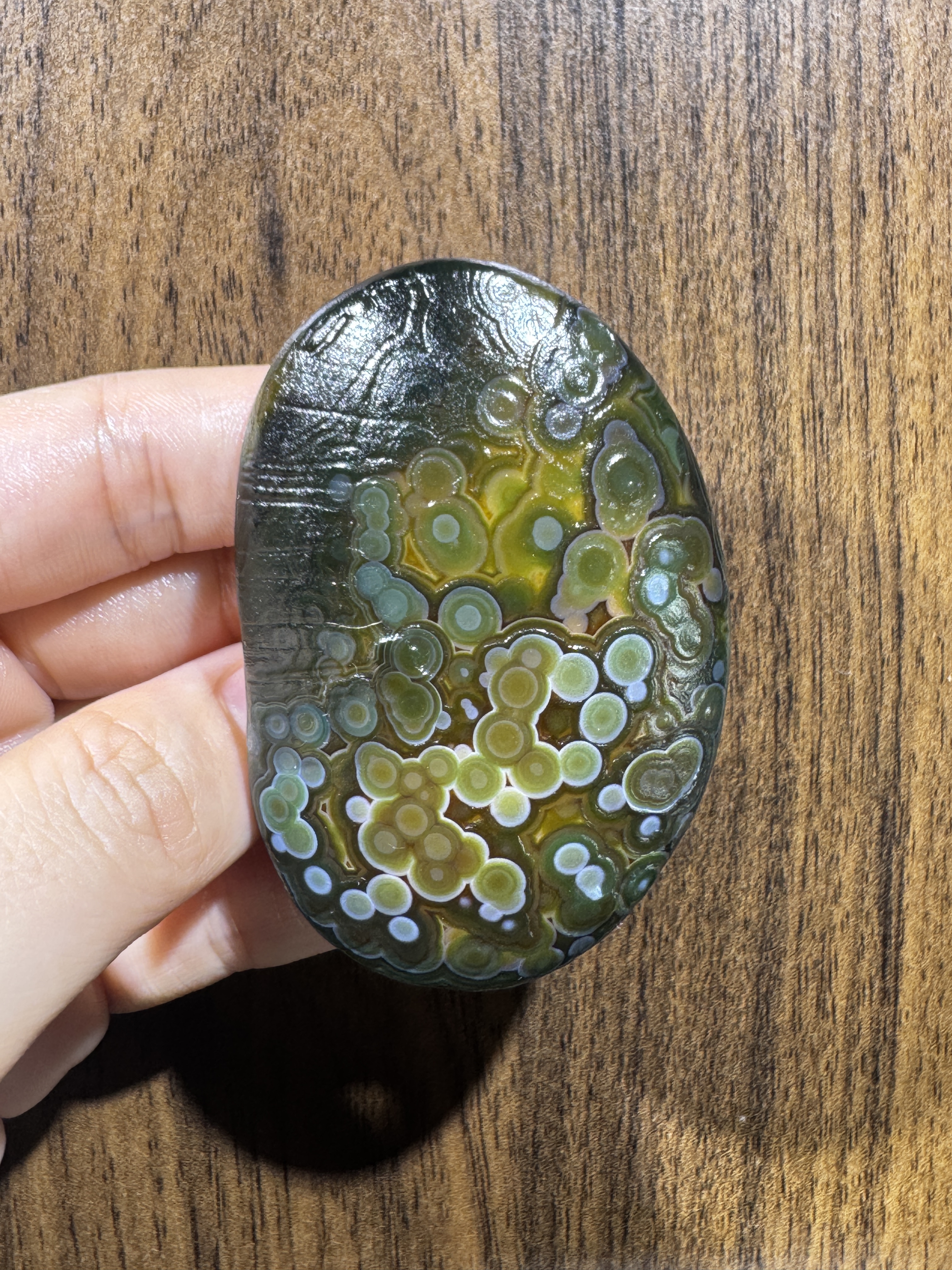 Mongolian Gobi flower‑eye agate（C49）2.68×1.77×0.71 in
