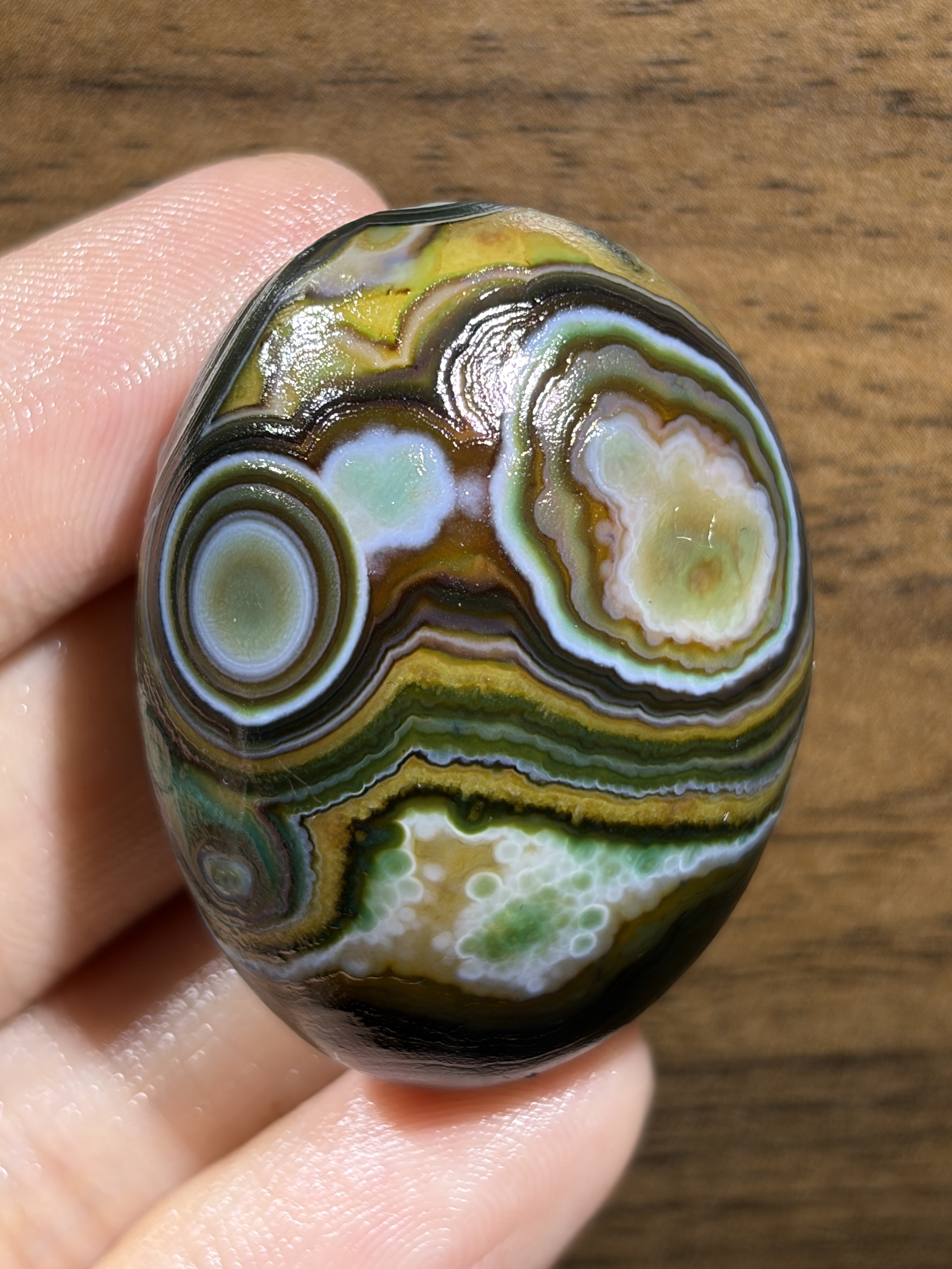 Mongolian Gobi flower‑eye agate（B2）1.69×1.22×0.83 in