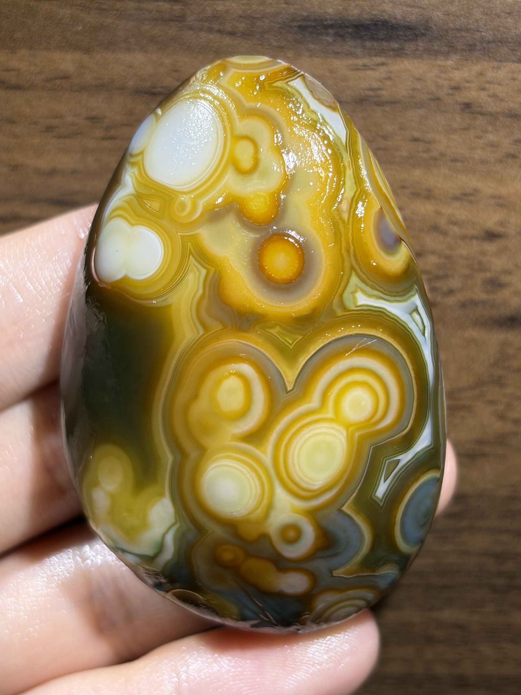 Mongolian Gobi flower‑eye agate（C15）2.68×1.77×0.98 in