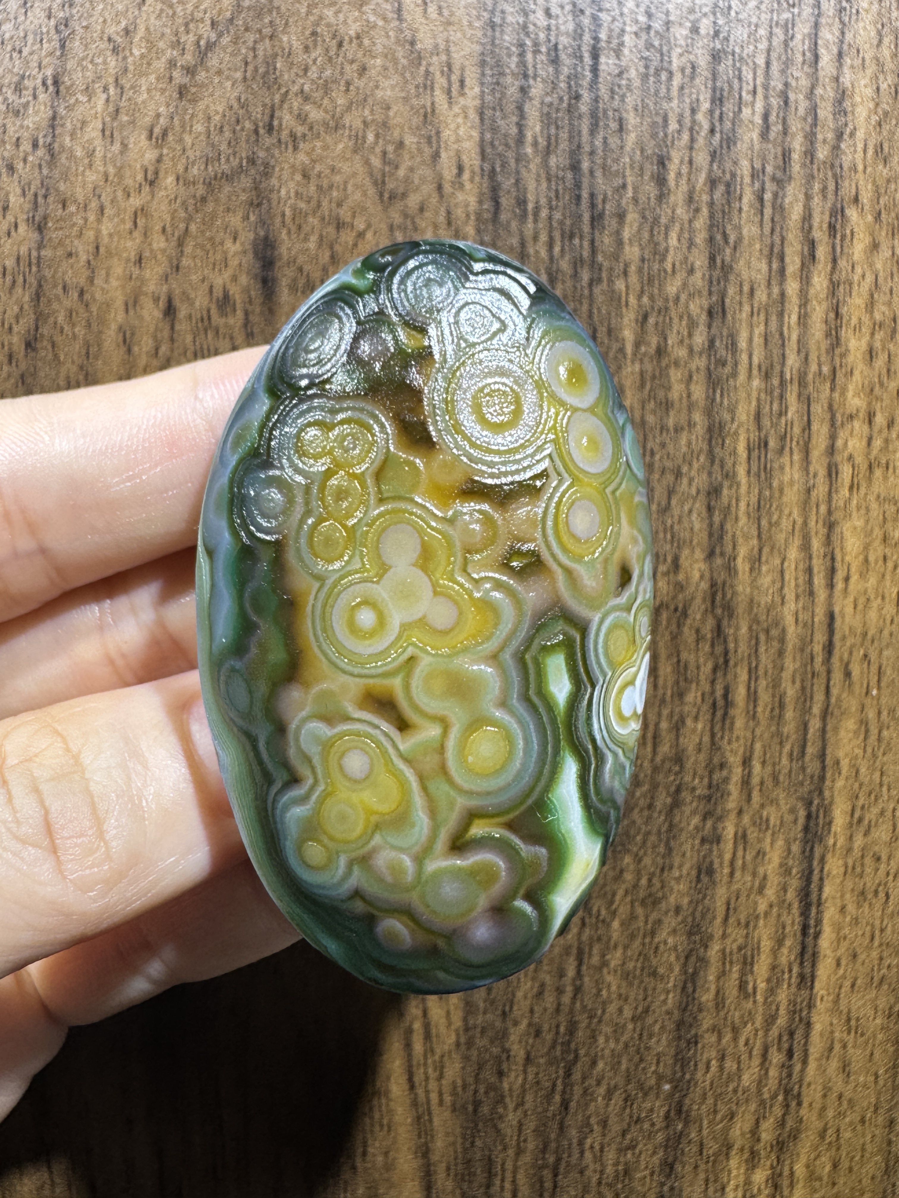 Mongolian Gobi flower‑eye agate（C53）2.44×1.57×0.71 in