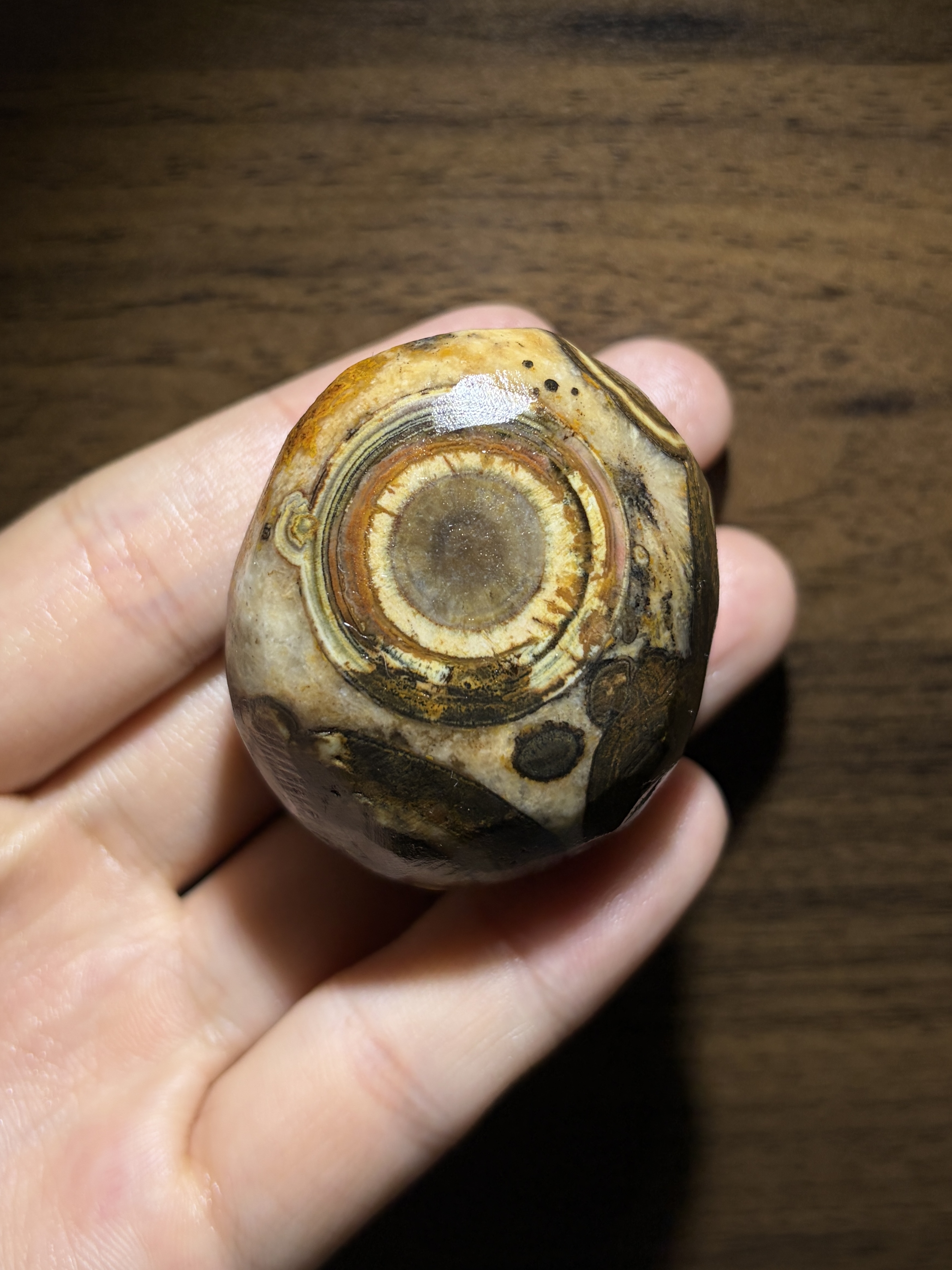 Mongolian Gobi Eye‑Stone