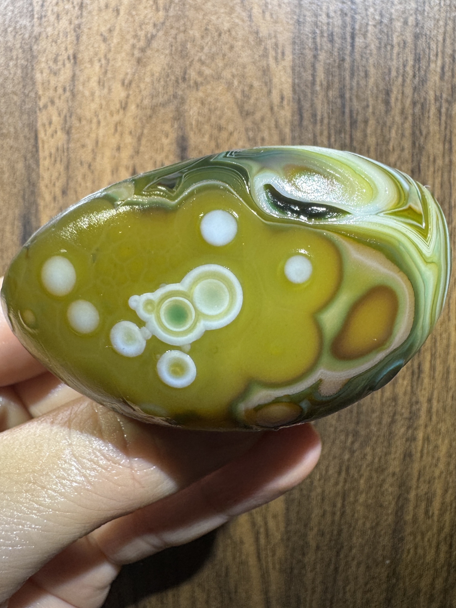 Mongolian Gobi Flower-Eye Agate (D18) 2.56×1.97×1.42 in