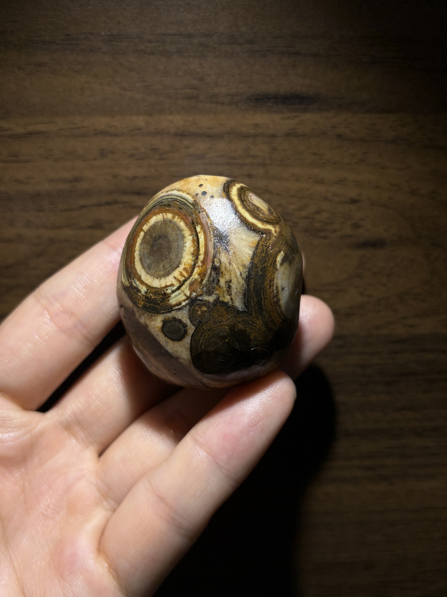 Mongolian Gobi Eye‑Stone