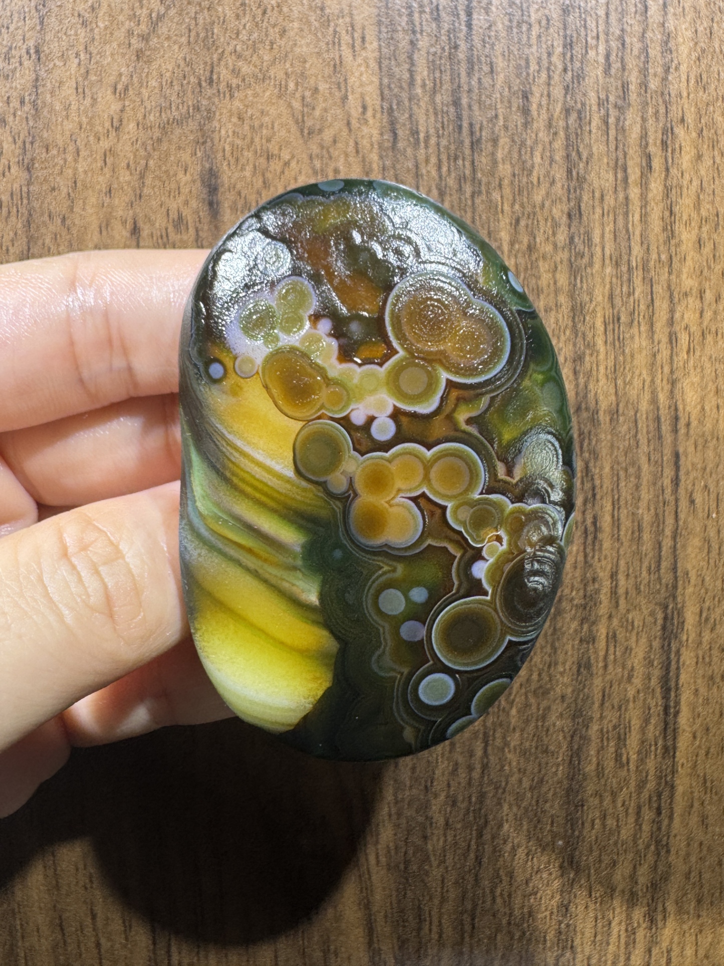 Mongolian Gobi flower‑eye agate（C49）2.68×1.77×0.71 in