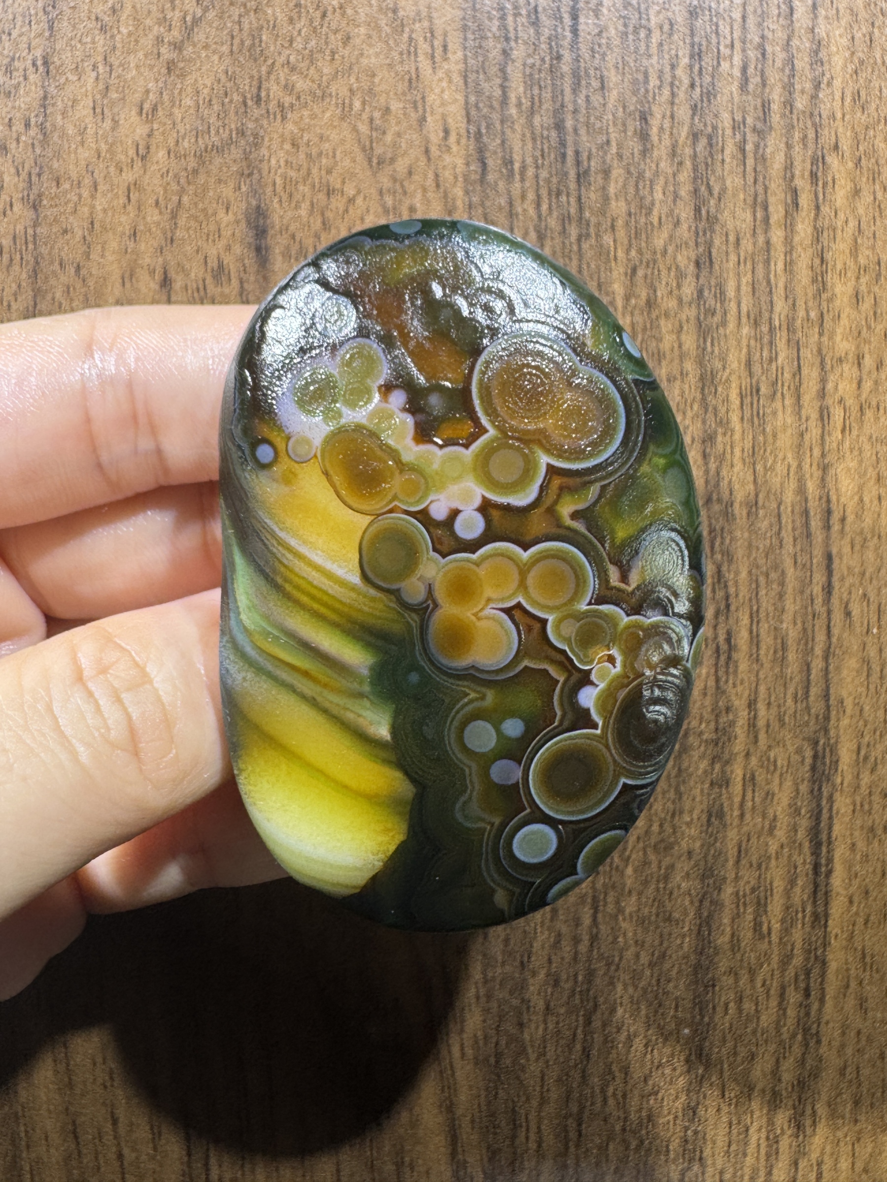 Mongolian Gobi flower‑eye agate（C49）2.68×1.77×0.71 in