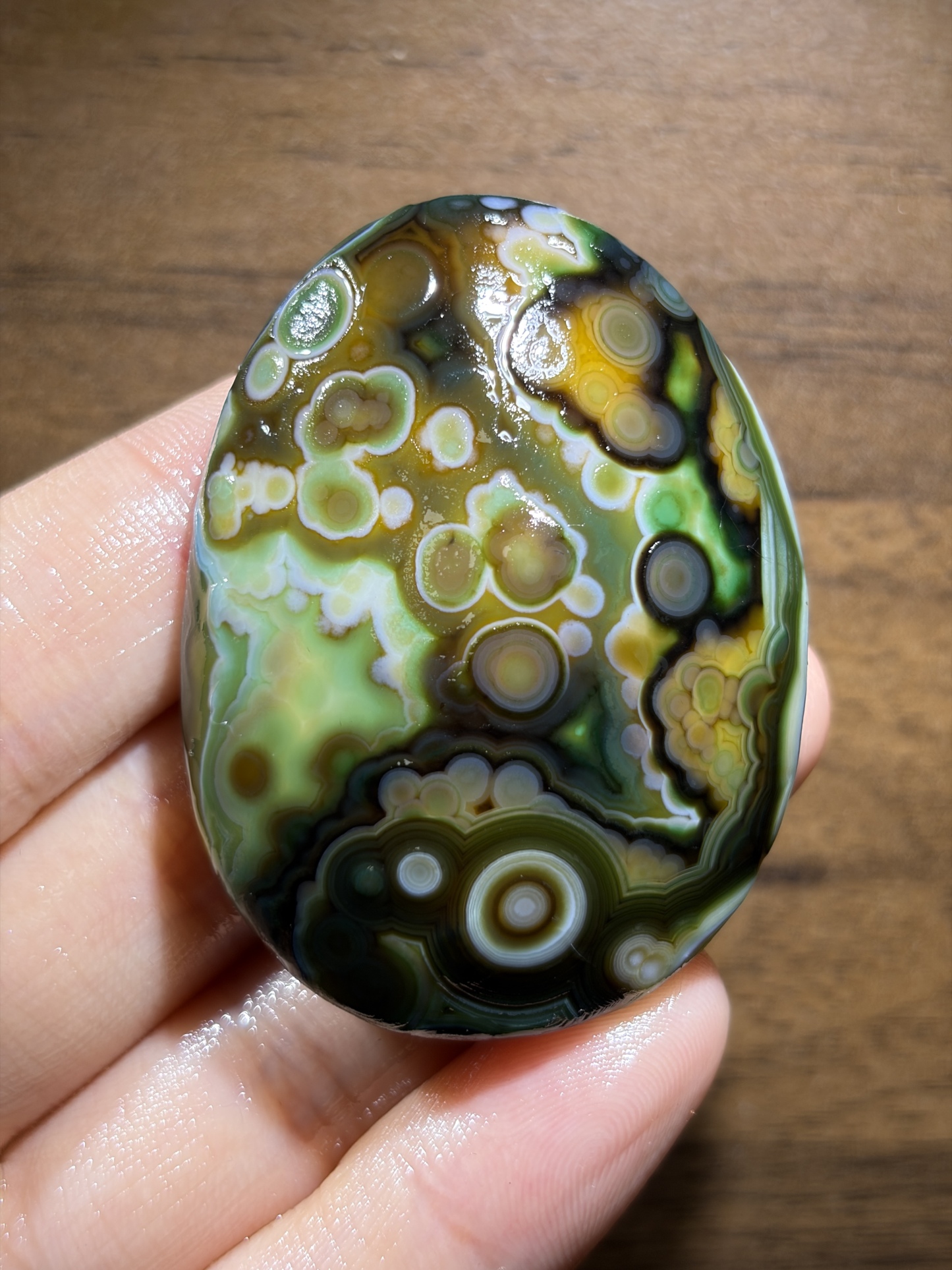 Mongolian Gobi flower‑eye agate（C22）2.17×1.57×0.67 in