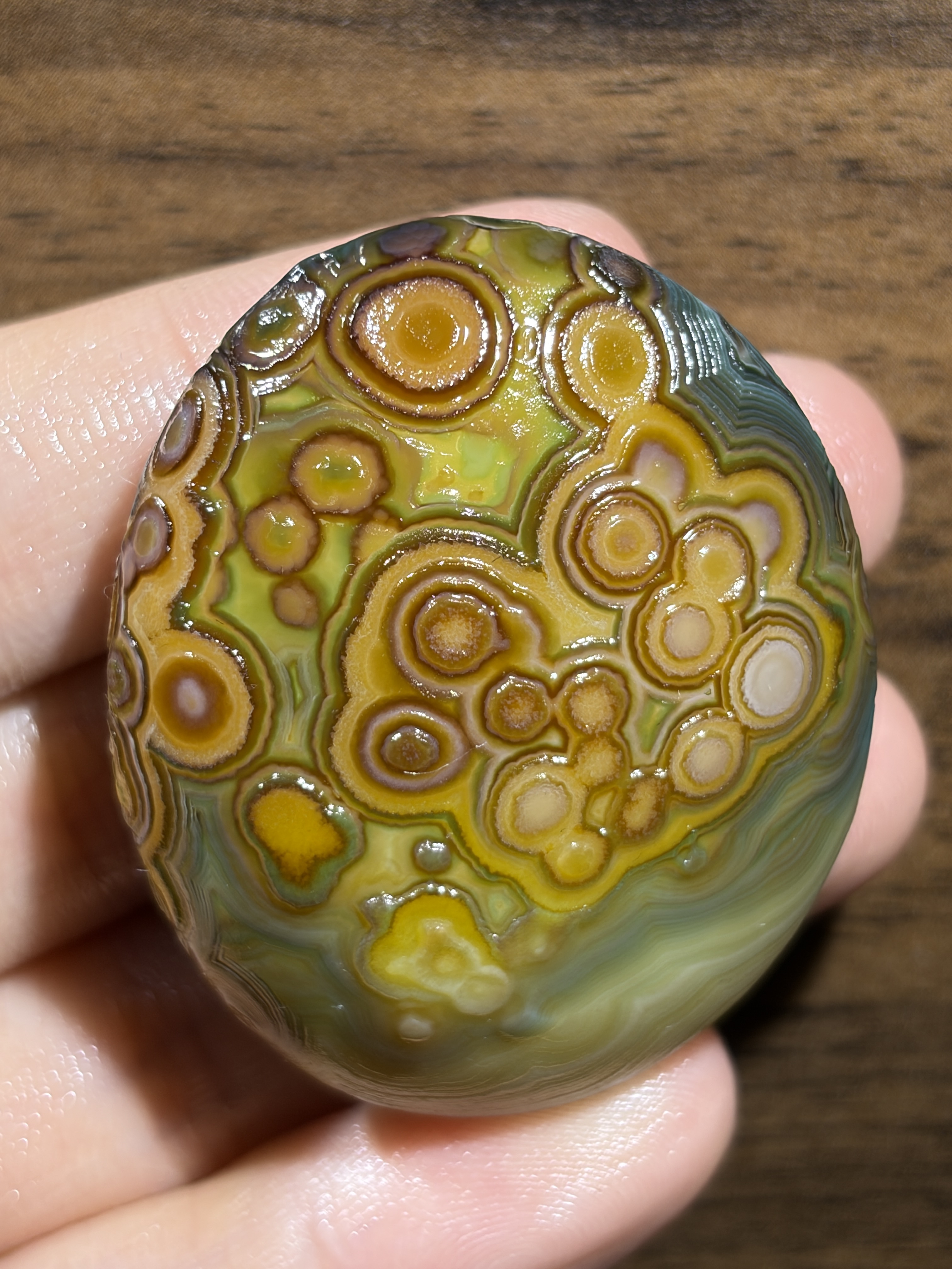 Mongolian Gobi flower‑eye agate（C17）1.97×1.57×0.79 in