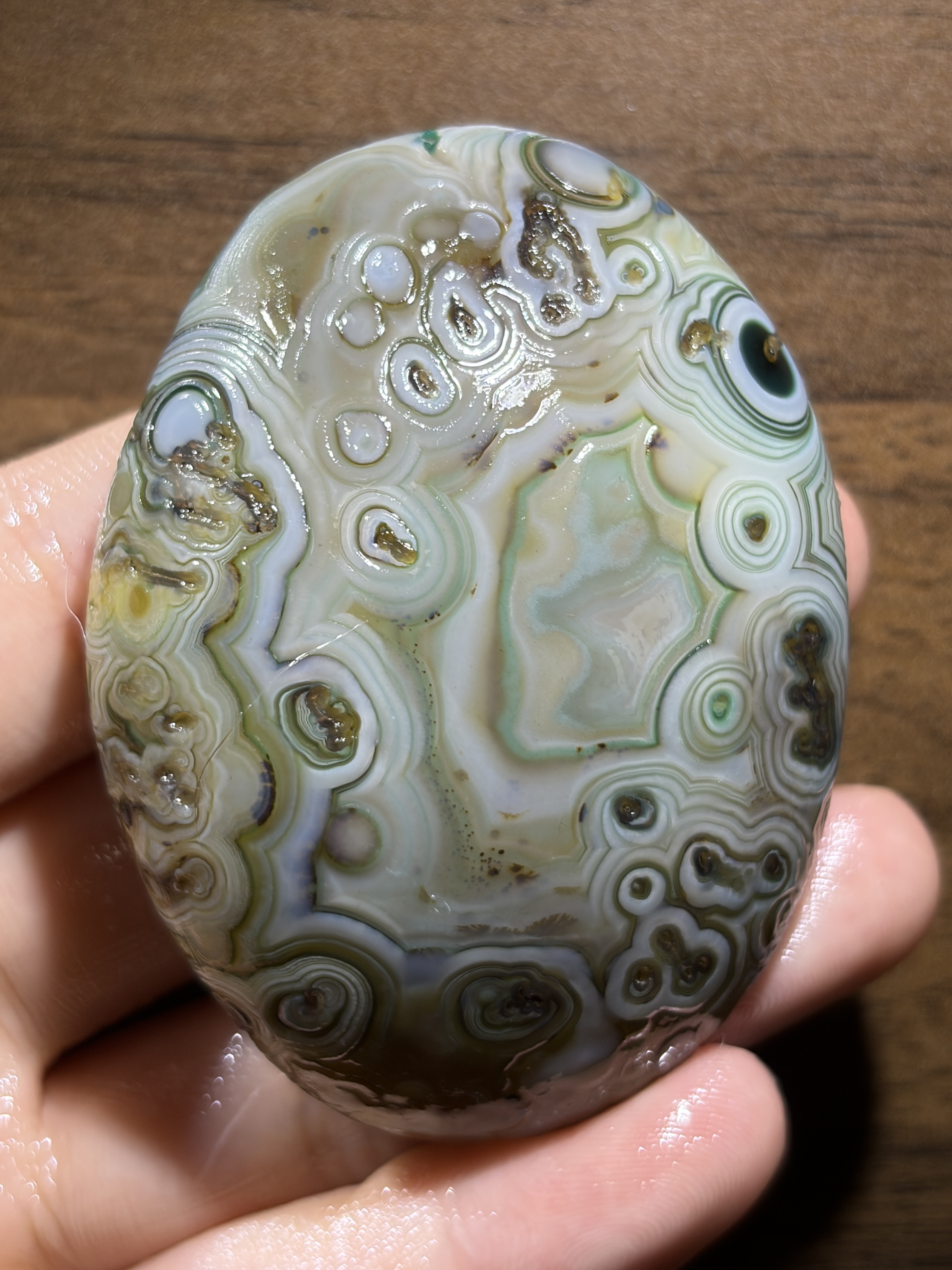 Mongolian Gobi flower‑eye agate（D6）2.68×2.05×0.98 in