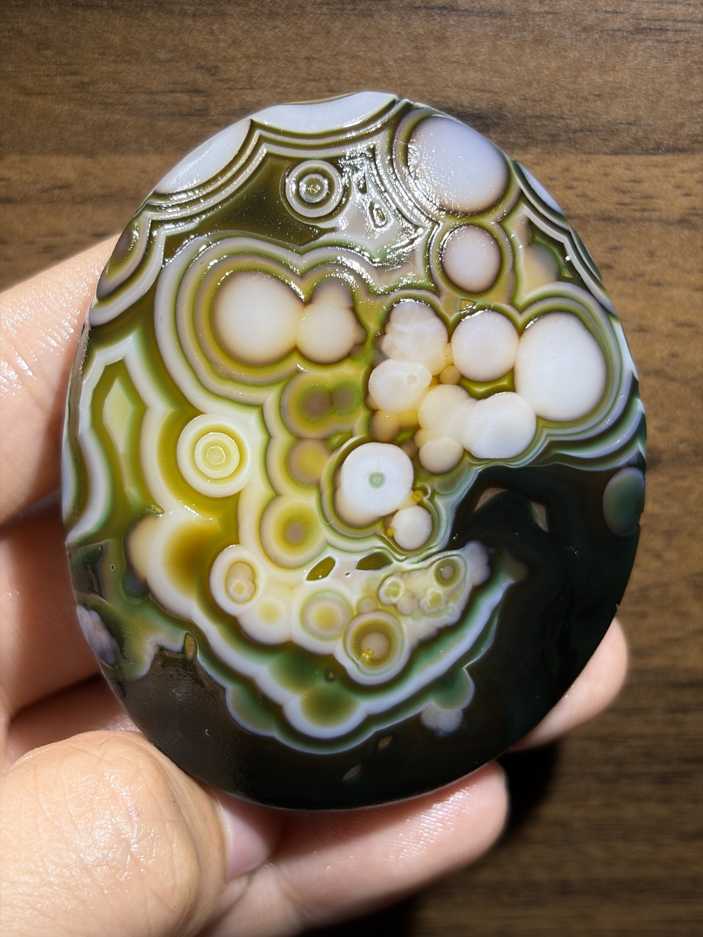 Mongolian Gobi flower‑eye agate（D9）2.68×2.36×0.87 in
