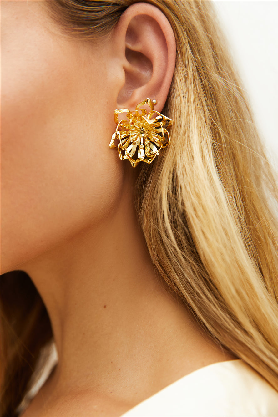 18K Gold Plated On The Glow Earrings Gold-Seaa Fashion