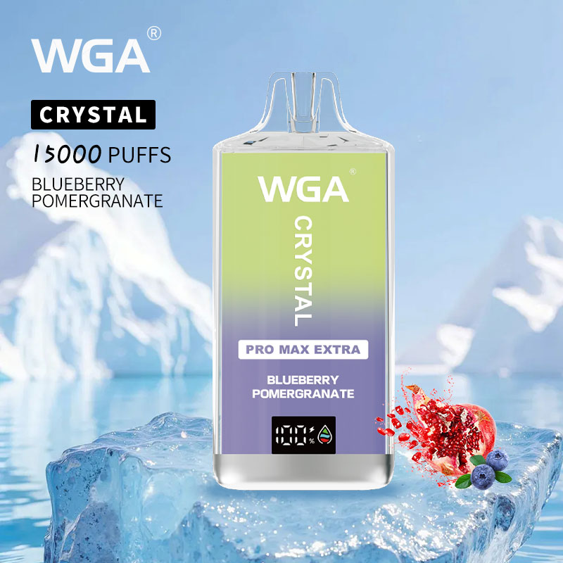 WGA 15000 puff BLUEBERRY-POMERGRANATE