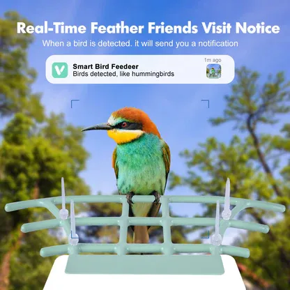Nest Birdy – Smart Bird Feeder