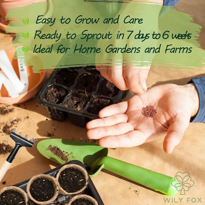 🍓 Dědičná semena jahod bez GMO ｜ Sladké a šťavnaté · Vysoký a stabilní výnos ｜ Vhodné pro balkon a zahradu