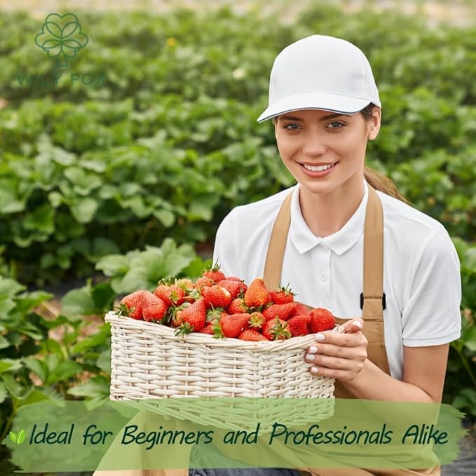 🍓 Dědičná semena jahod bez GMO ｜ Sladké a šťavnaté · Vysoký a stabilní výnos ｜ Vhodné pro balkon a zahradu