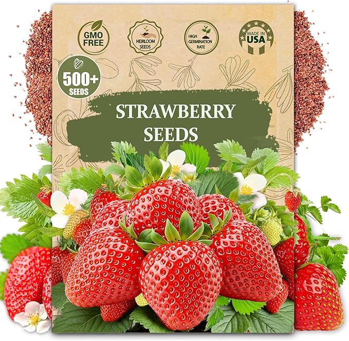 🍓 Dědičná semena jahod bez GMO ｜ Sladké a šťavnaté · Vysoký a stabilní výnos ｜ Vhodné pro balkon a zahradu