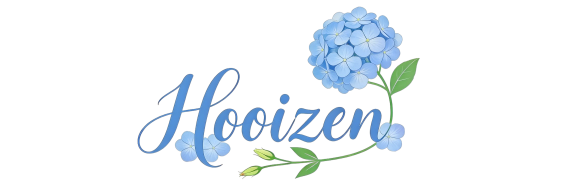 Hooizen