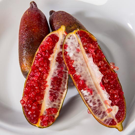 Vypěstujte si vlastní „citrusový kaviár“ 🍋 Semena finger limetky (snadné pěstování)