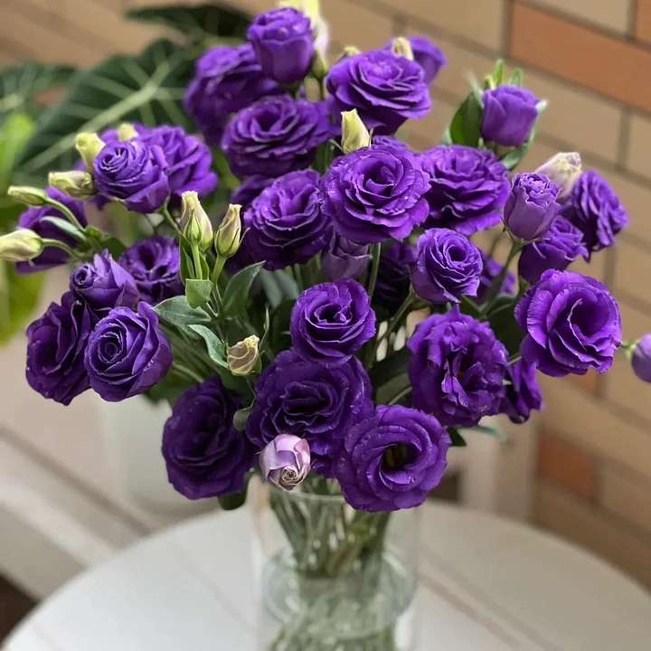 💐Lisianthus - A Sincere and Immutable Love