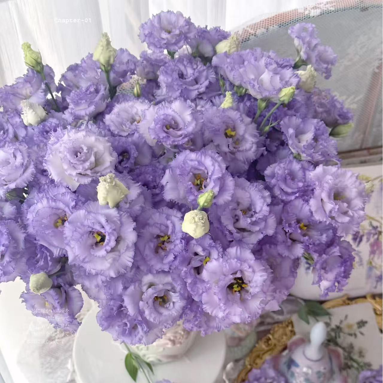 🔥 Последен ден разпродажба – Семена от Лизиантус (Eustoma) 🌸 Елегантни цветове като рози | Лесни за отглеждане и ниска поддръжка 🌺