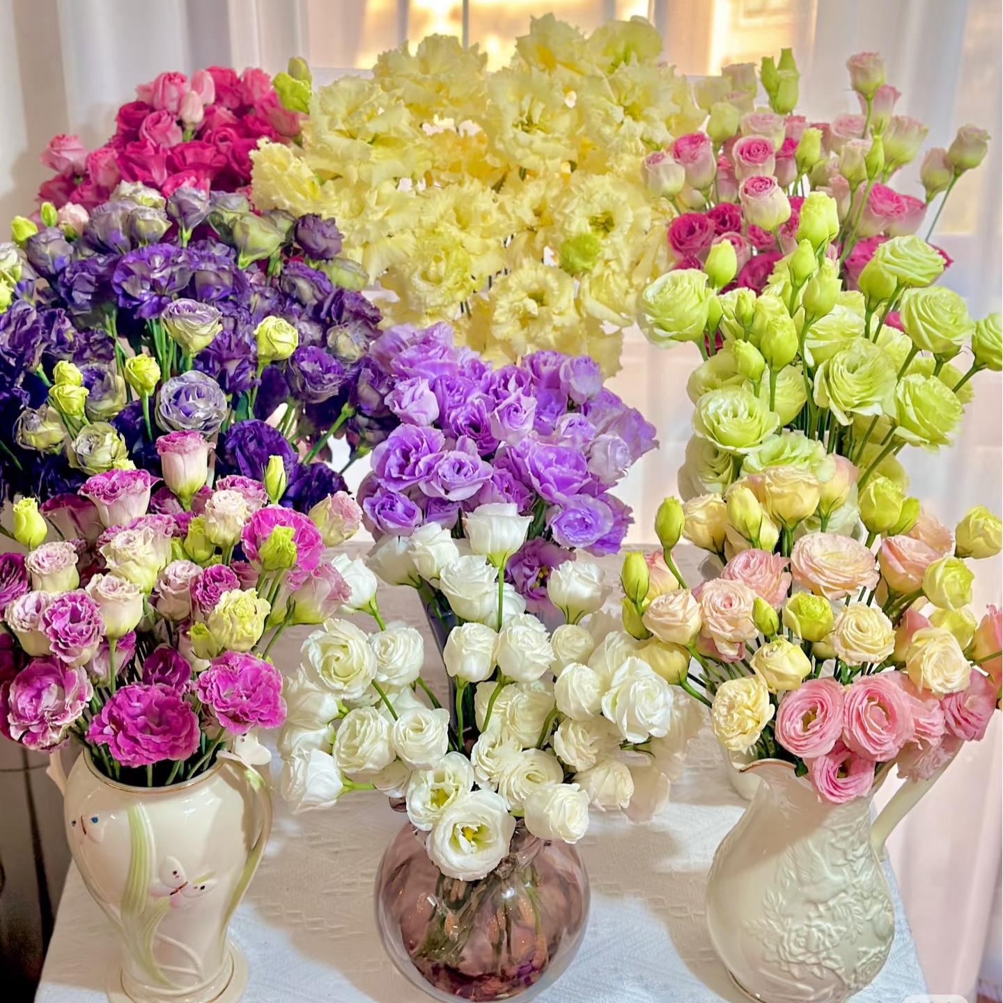 🔥 Последен ден разпродажба – Семена от Лизиантус (Eustoma) 🌸 Елегантни цветове като рози | Лесни за отглеждане и ниска поддръжка 🌺