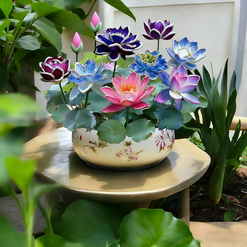 💜Midnight Purple Lotus Seeds